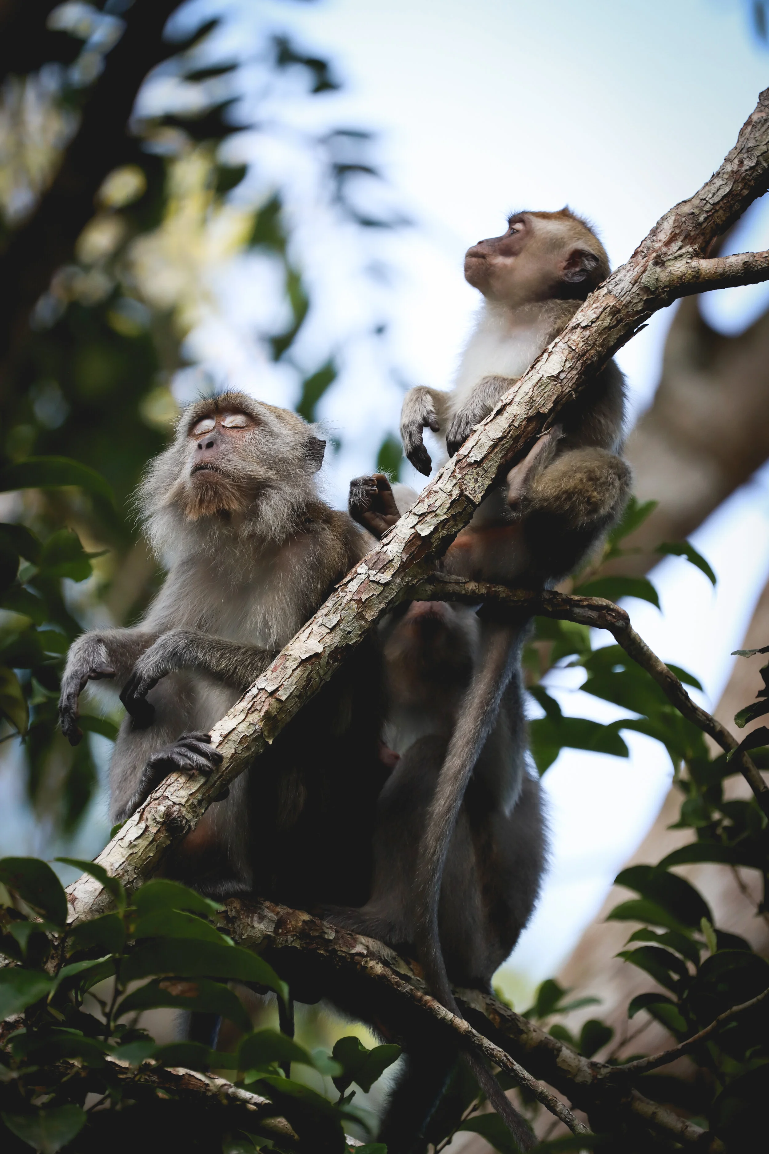 IMG_9757.jpg