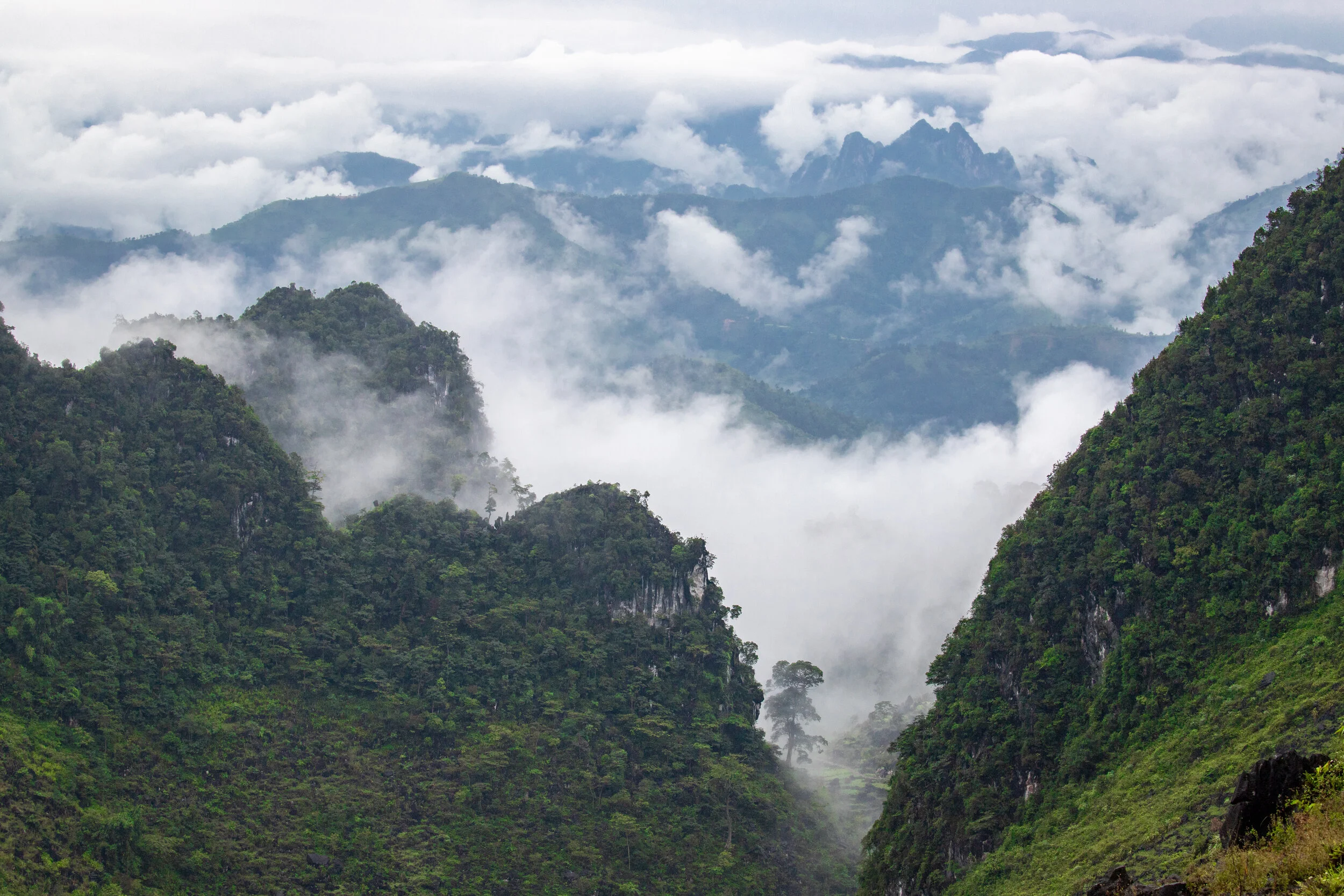 IMG_3613.jpg