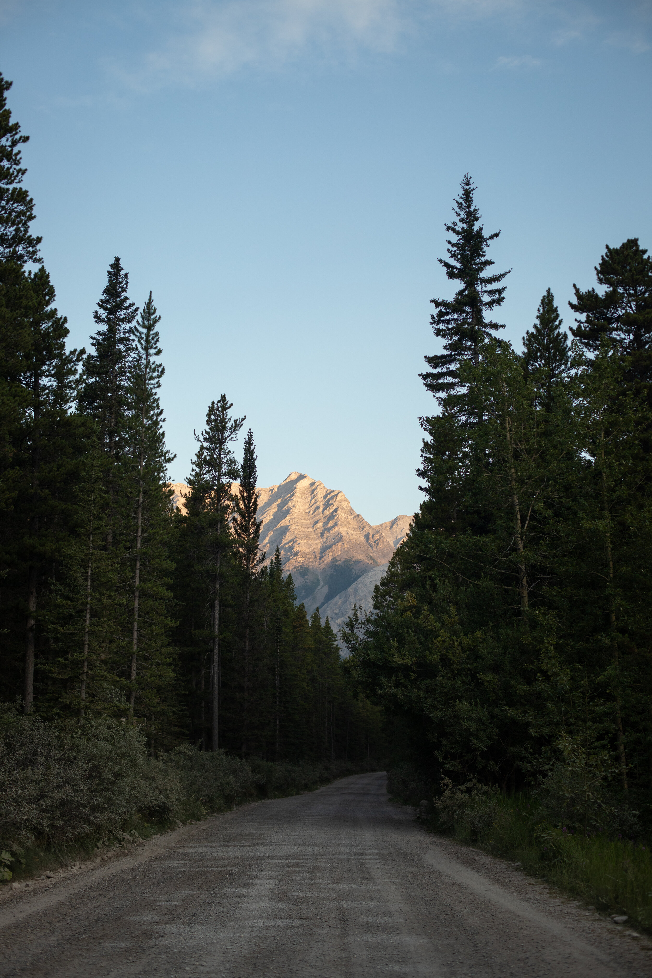 IMG_1327.jpg