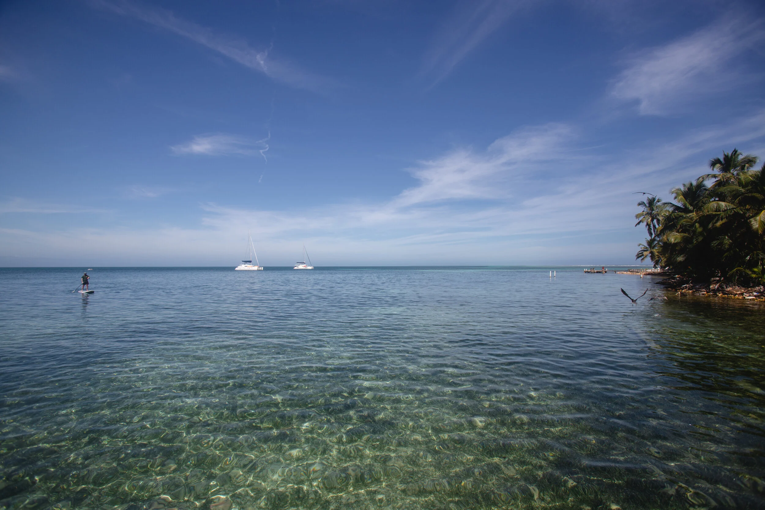 IMG_0616.jpg