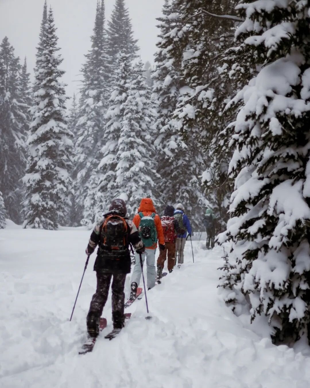 Some wintry snapshots from an all-ladies avalanche course/hut trip in Cooke City.