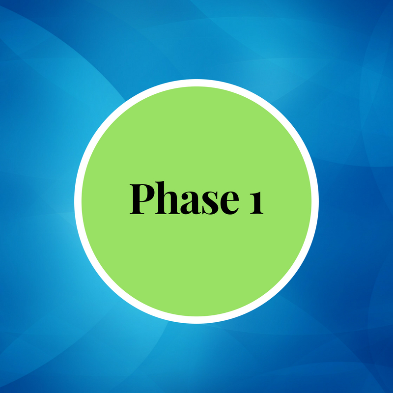 Phase 1.jpg
