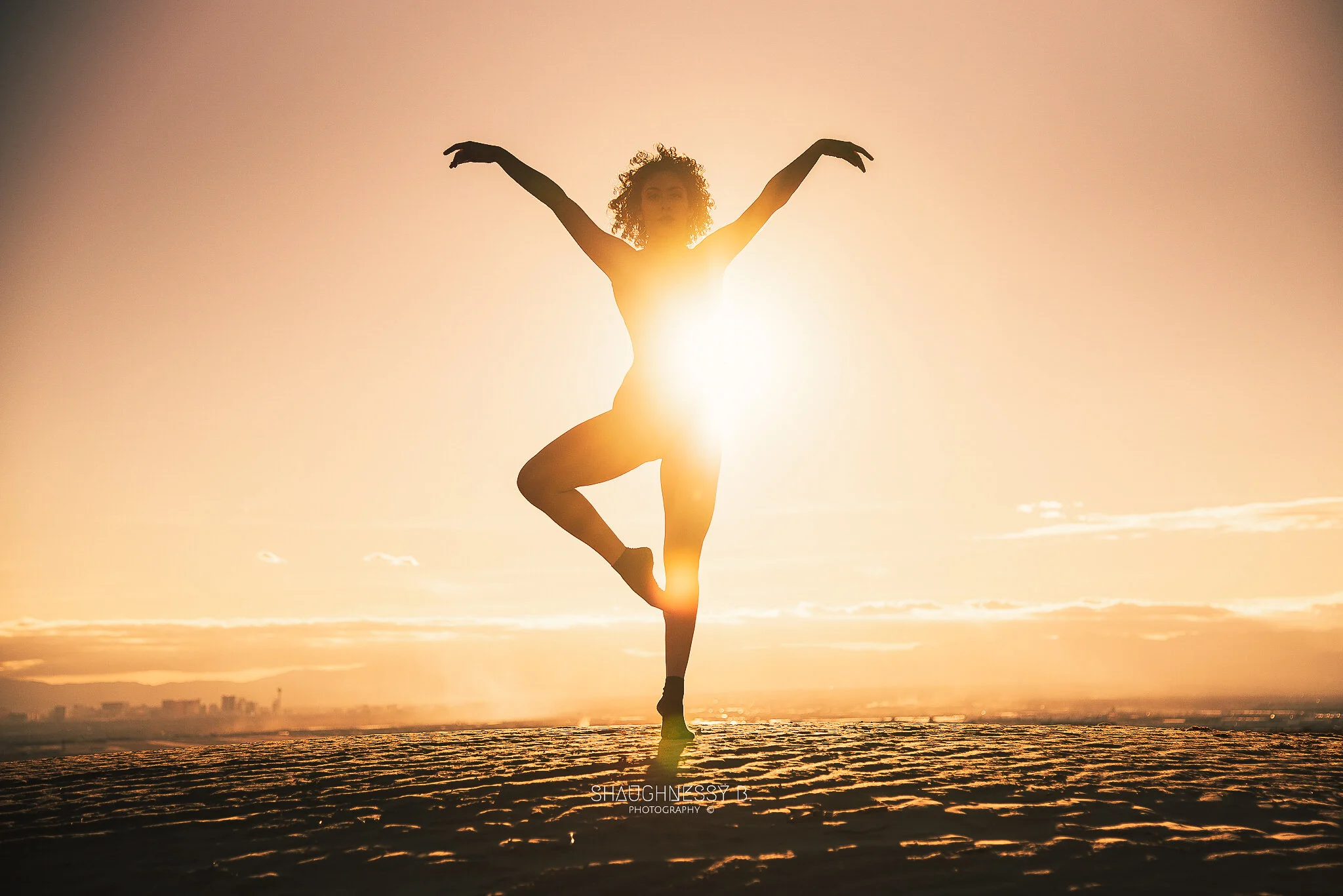 WEB-ww-CaitlinTerry_Dance_Silhouette_ShaughnessyBPhotography-03.jpg