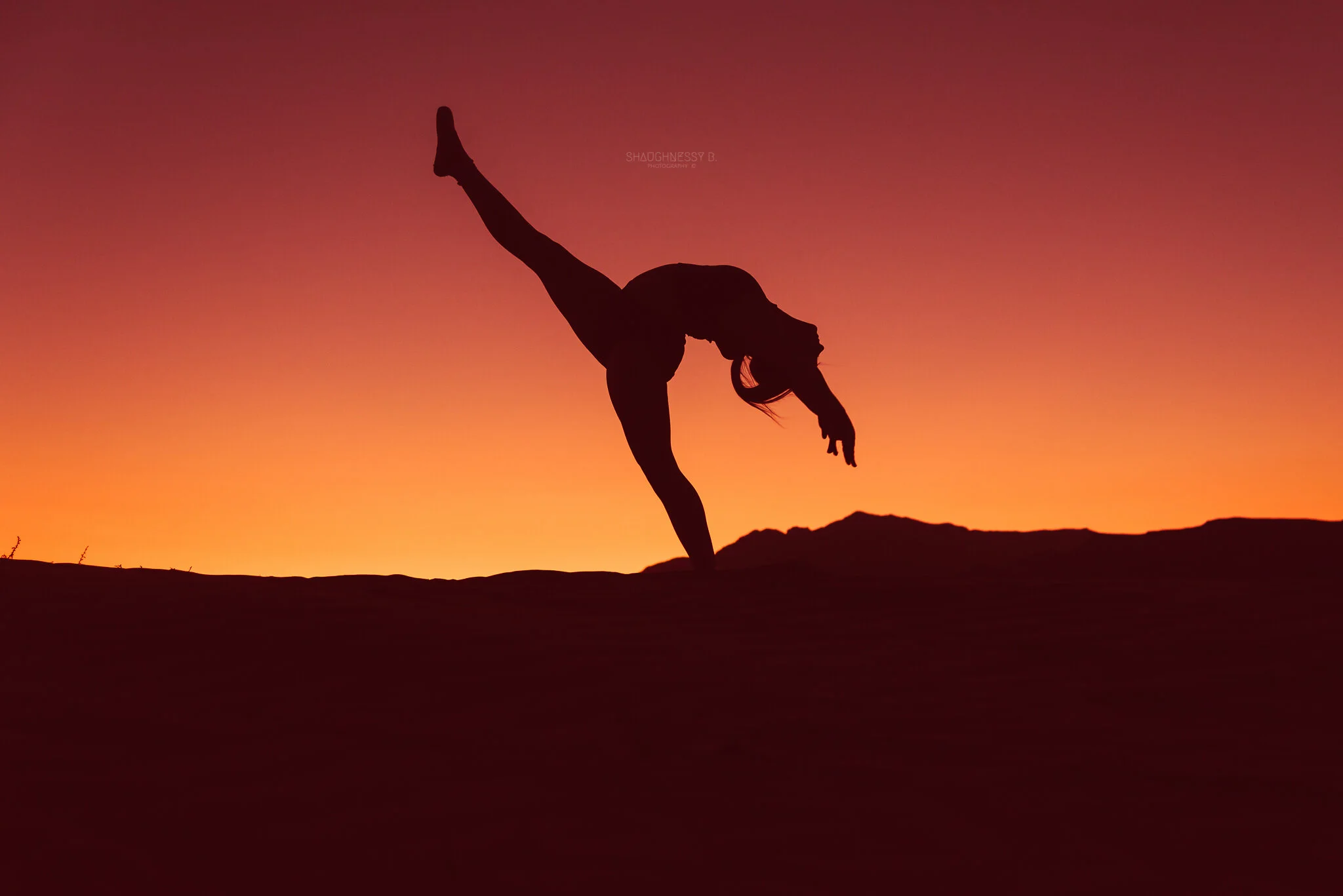 MeganMcCracken_Daughter'sDance_Silhouette_03_ww_ShaughnessyBPhotography.jpg
