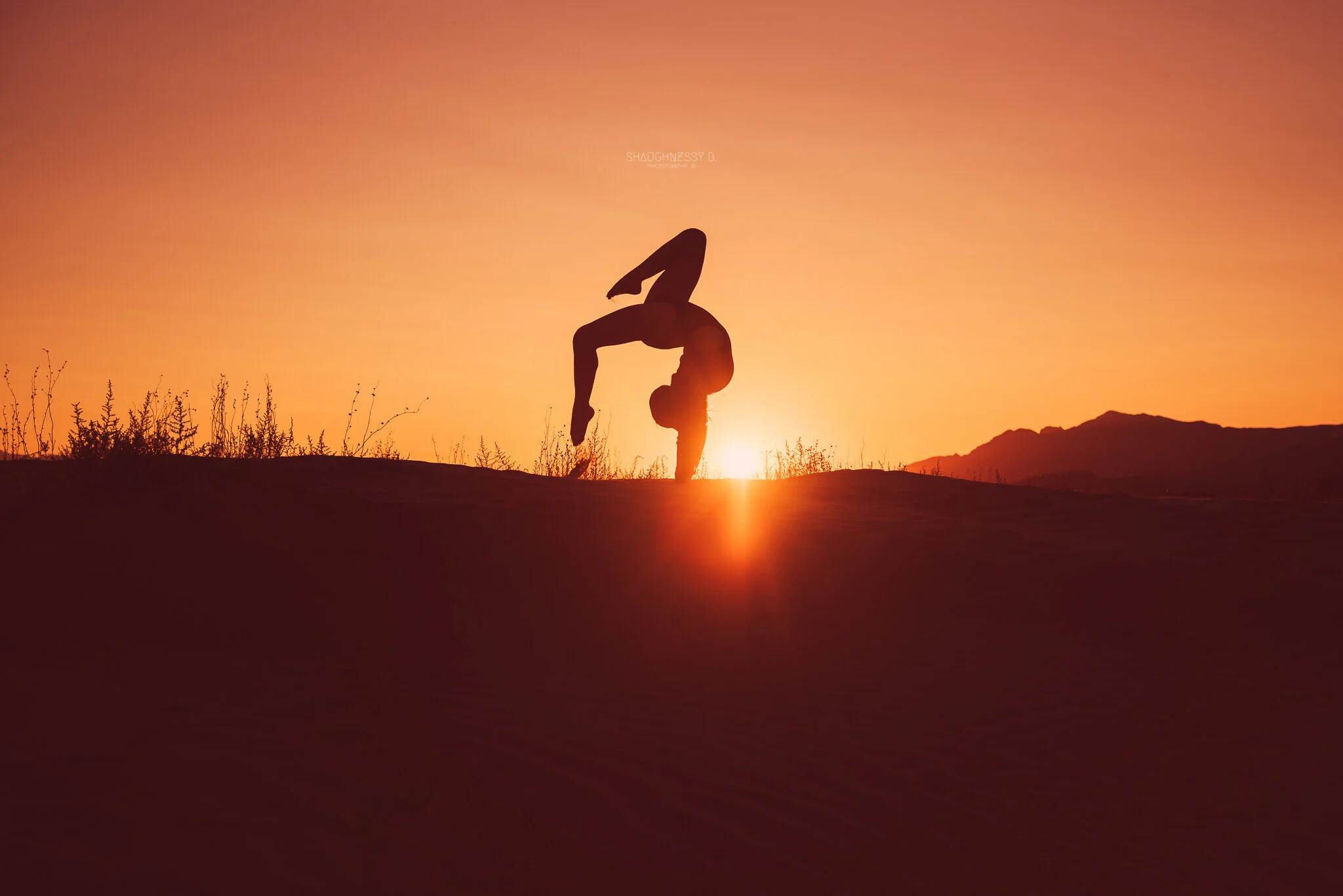 MeganMcCracken_Daughter'sDance_Silhouette_05_ww_ShaughnessyBPhotography.jpg