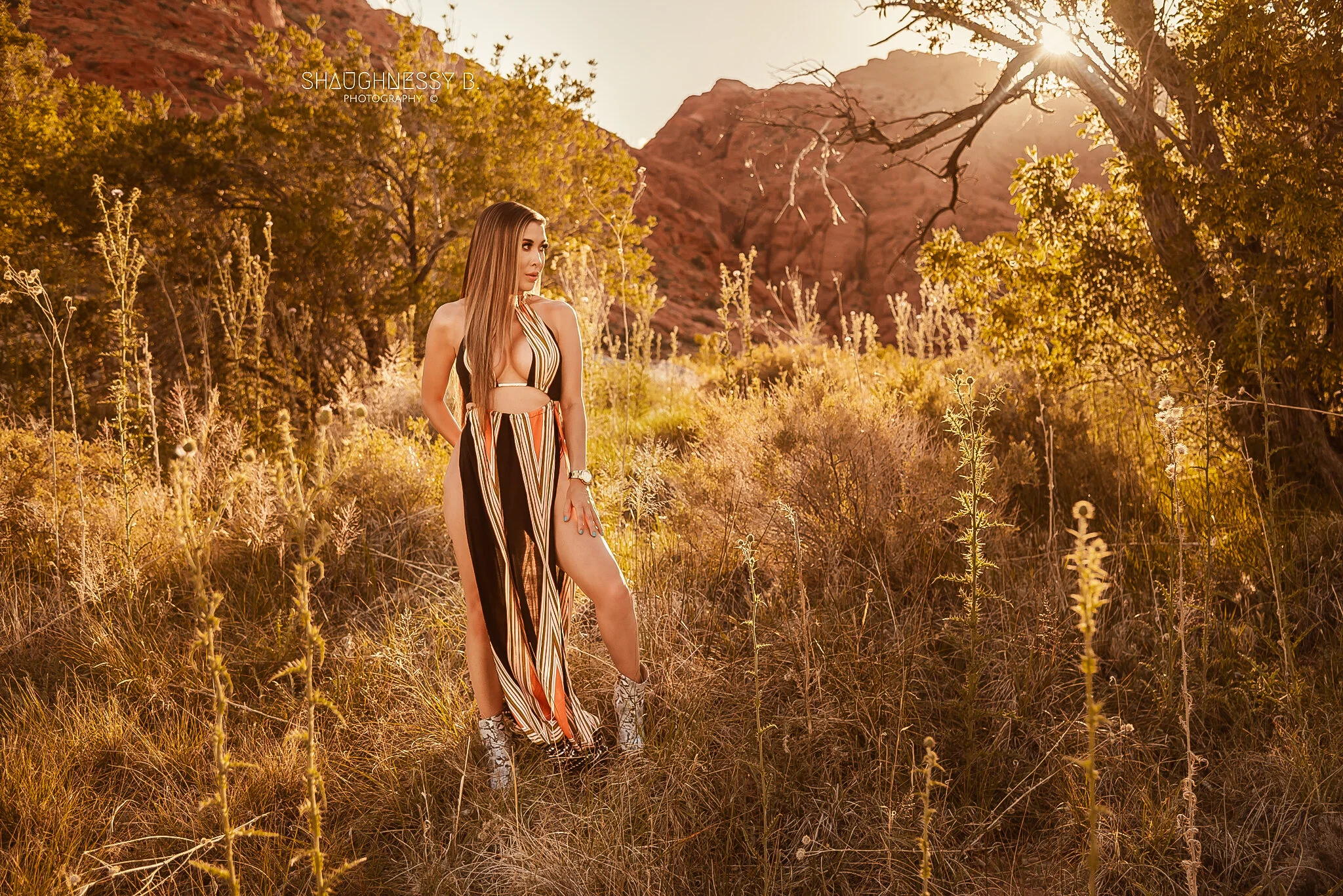 JessiMorales_SundressSunburst_FullBody02_ww_ShaughnessyBPhotography (2).jpg