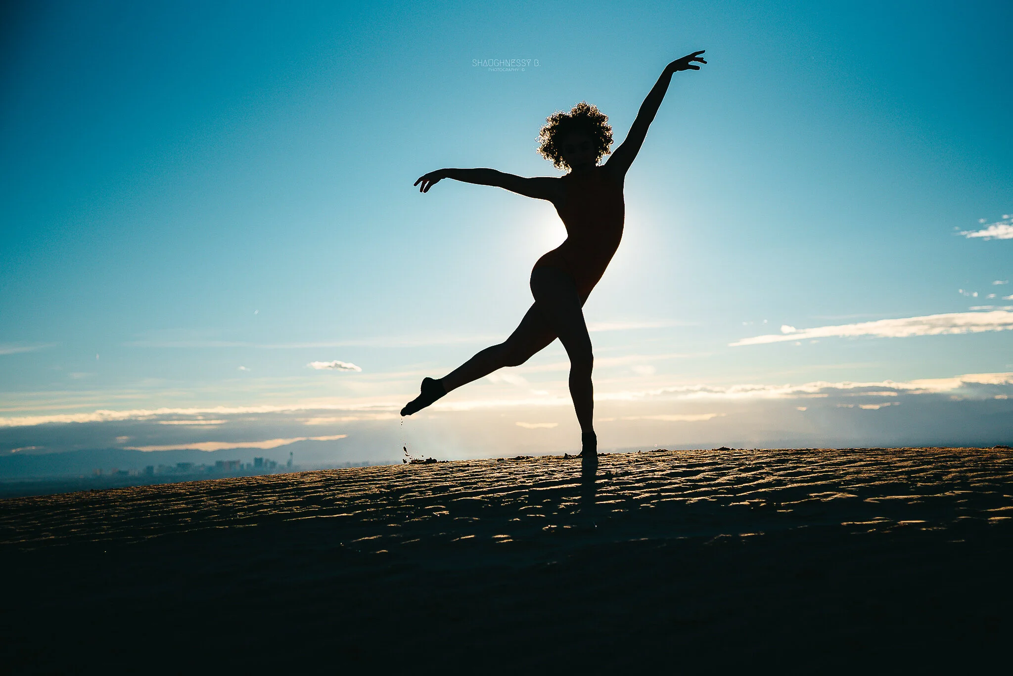 CaitlinTerry_Dance_Silhouette_ww_ShaughnessyBPhotography-3.jpg