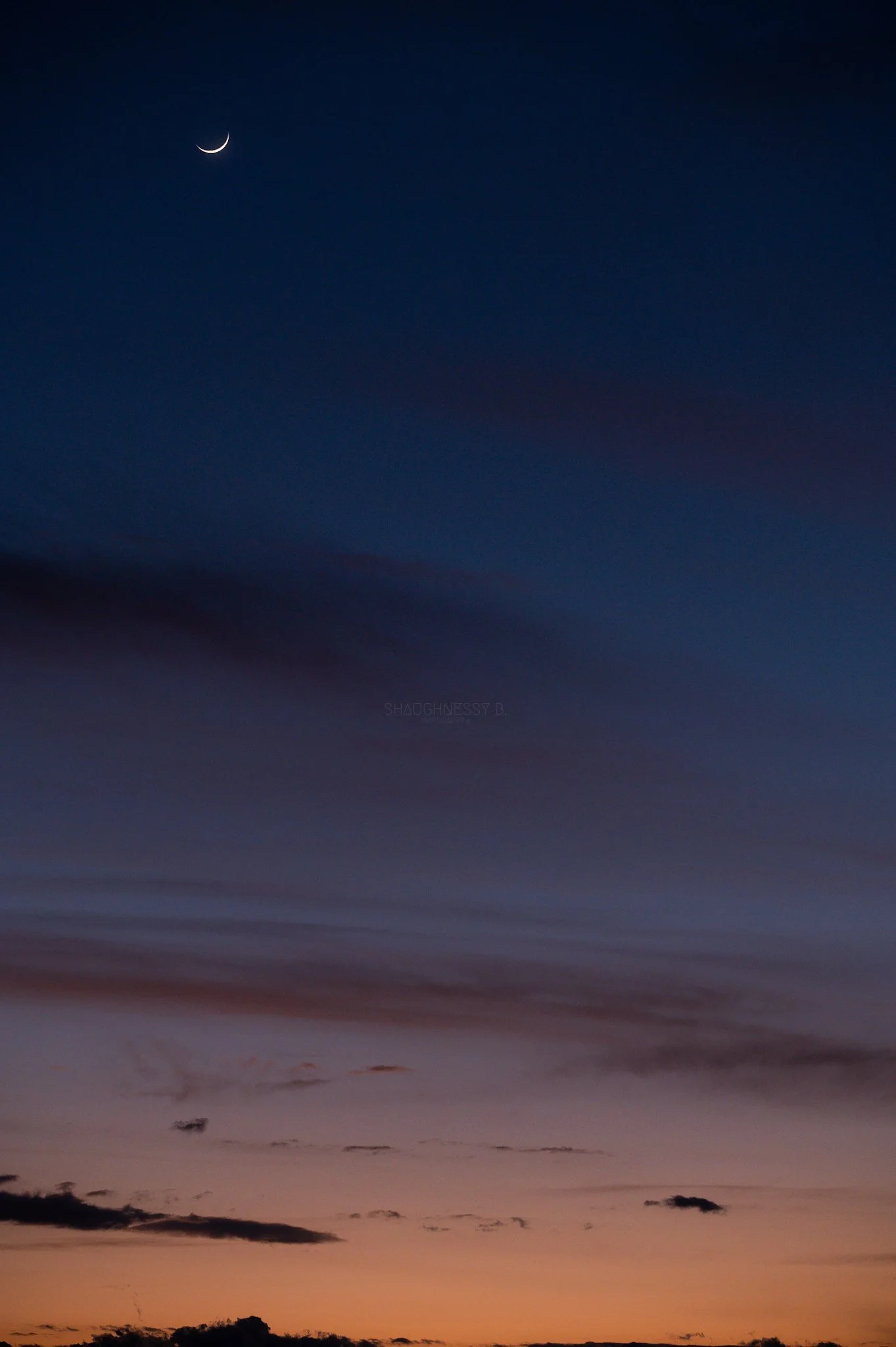 WEB-ww_NellisDunes_CrescentSunset_ShaughnessyBPhotography-01.jpg