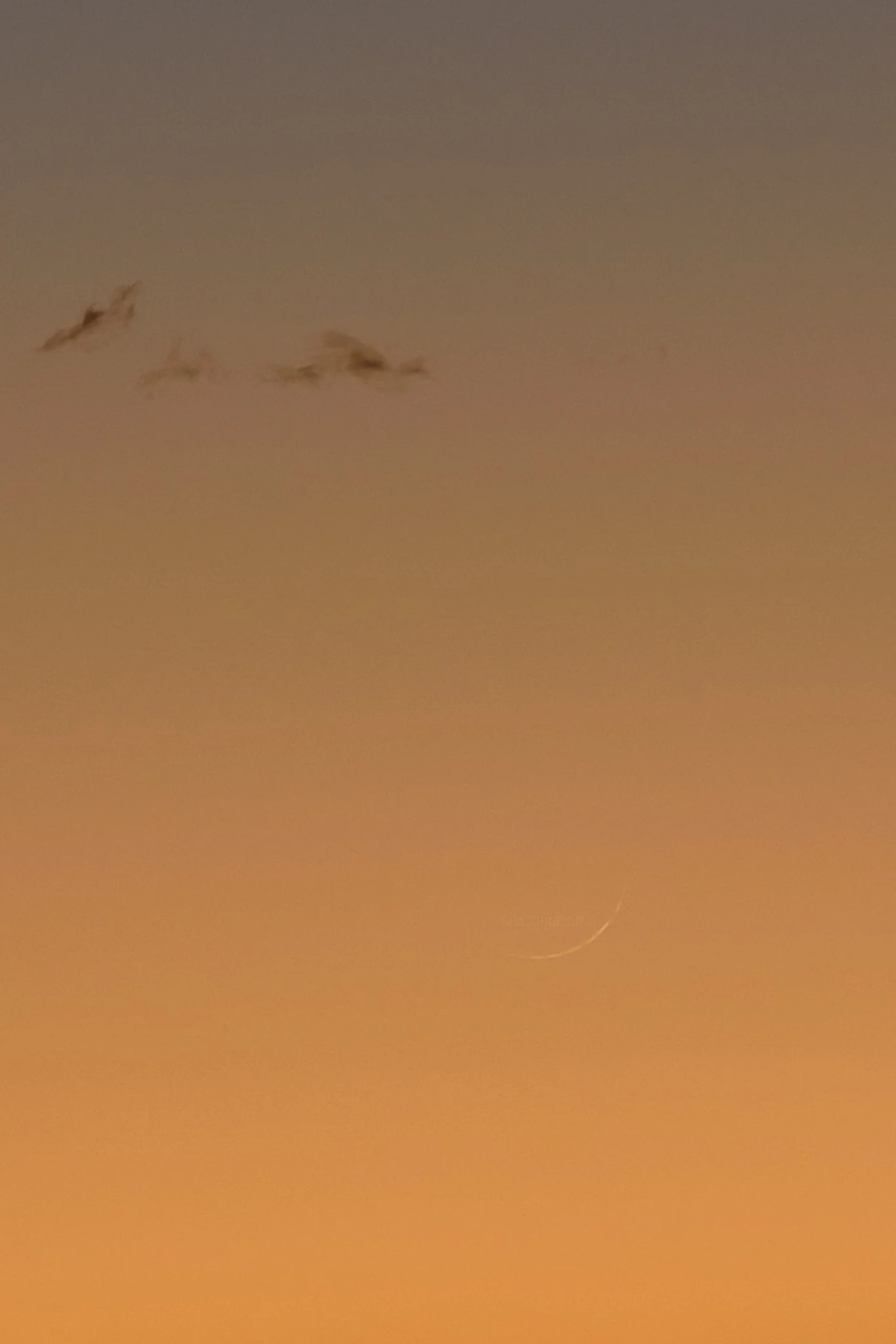 WEB-ww_1.1%WaxingCrescent_ShaughnessyBPhotography-01.jpg