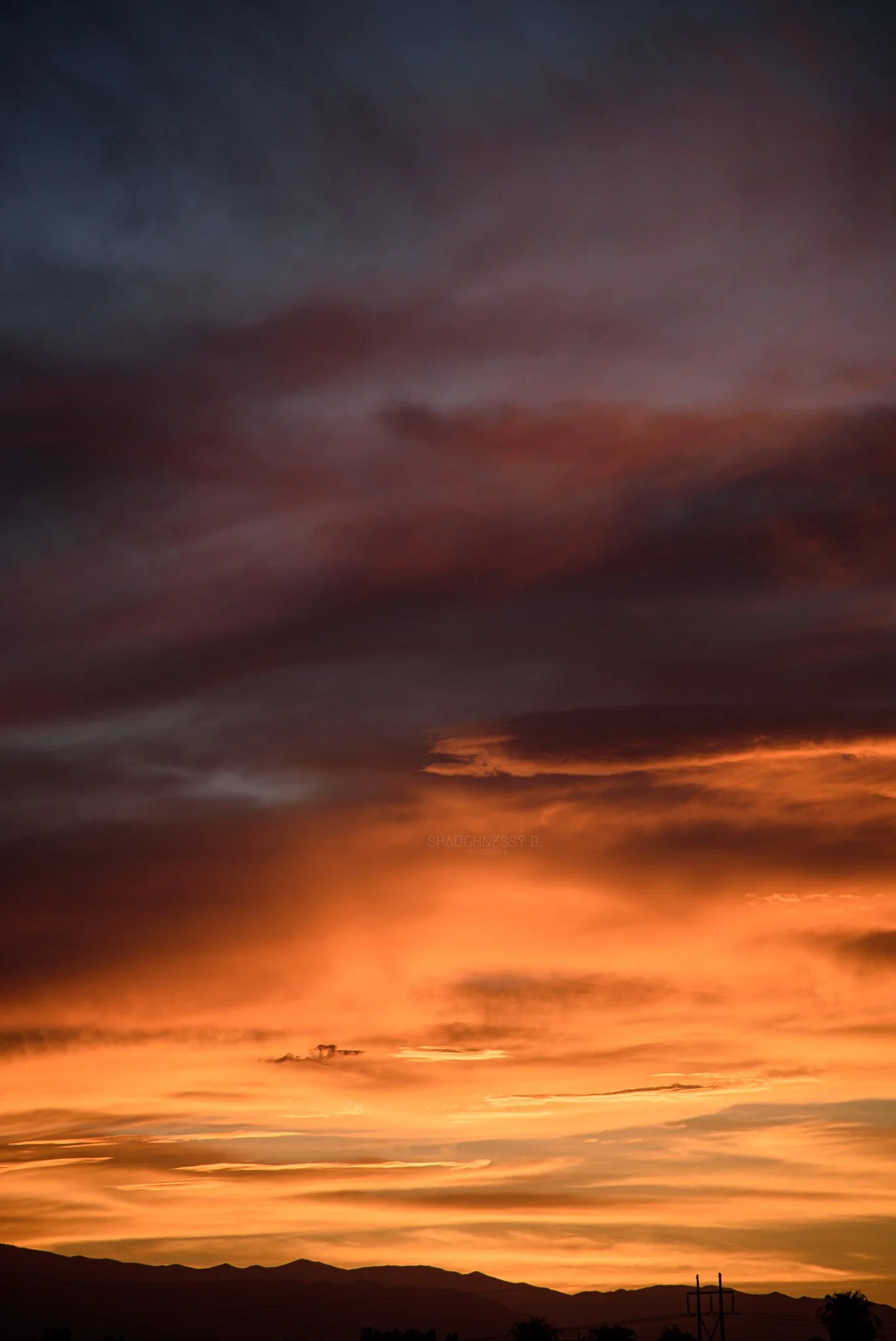 WEB-ww_07-22-22_Sunset_ShaughnessyBPhotography-01.jpg