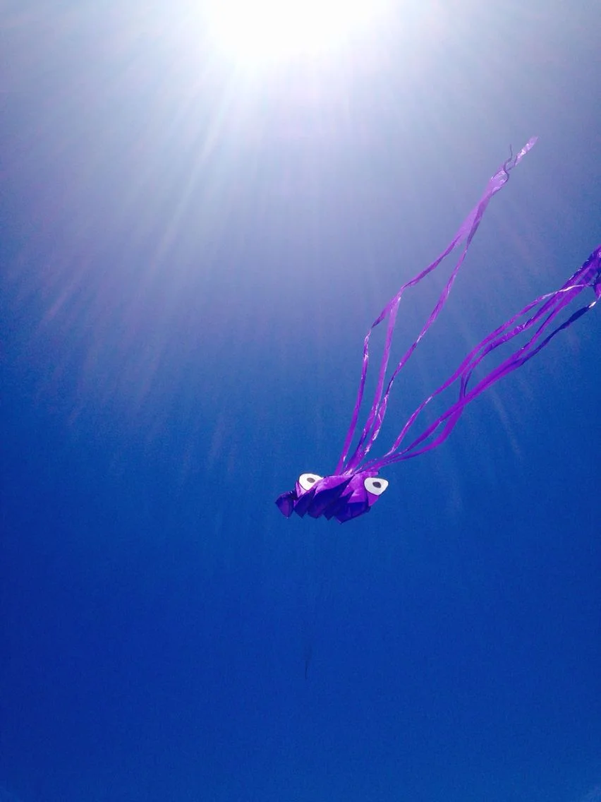 octopus in the sky