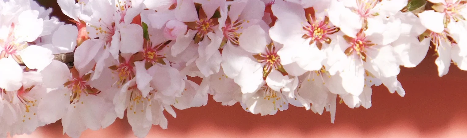 Spring Sesshin: Garrison Institute