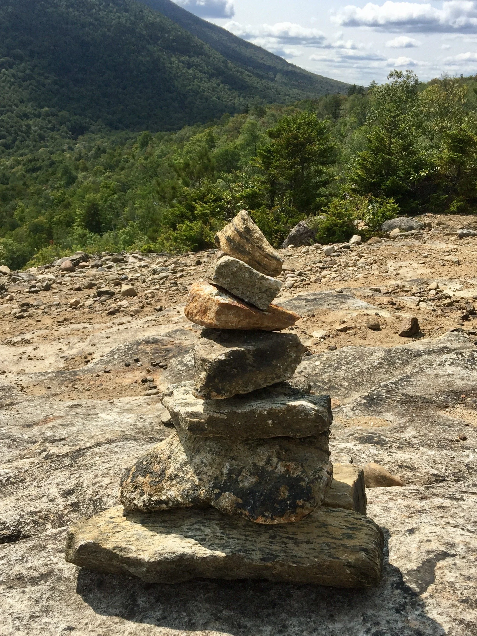 Saturday Morning Zazen & Chat Online