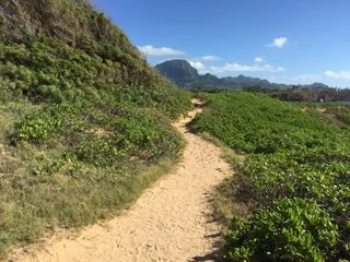 Thursday Morning Zazen Online        