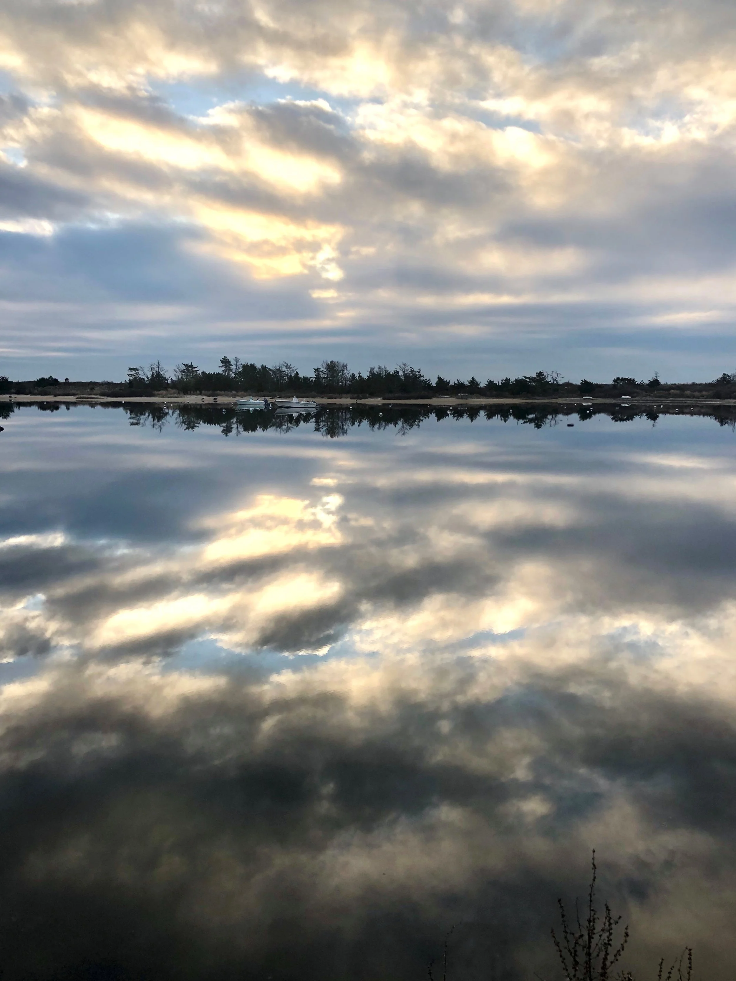 Thursday Morning Zazen Online Only