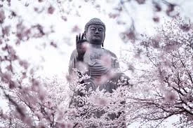 Zazenkai: Online and In Person