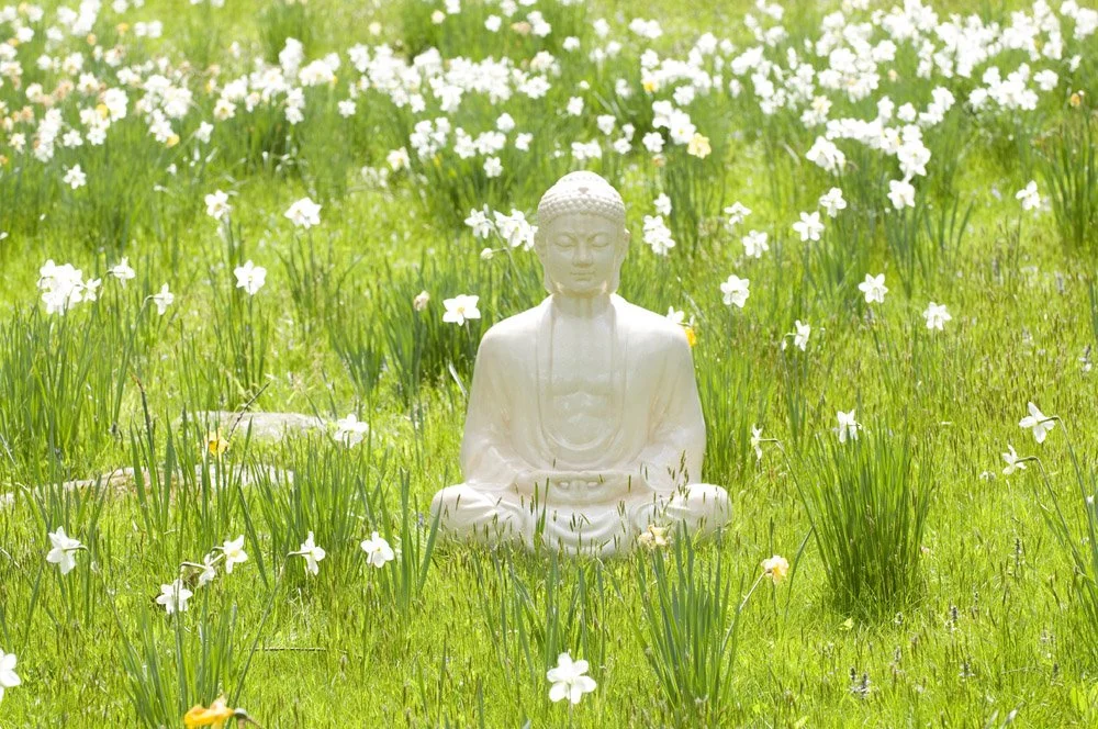 Zazenkai: Online and In Person