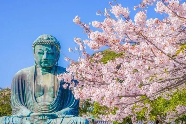 Zazenkai: Online and In Person
