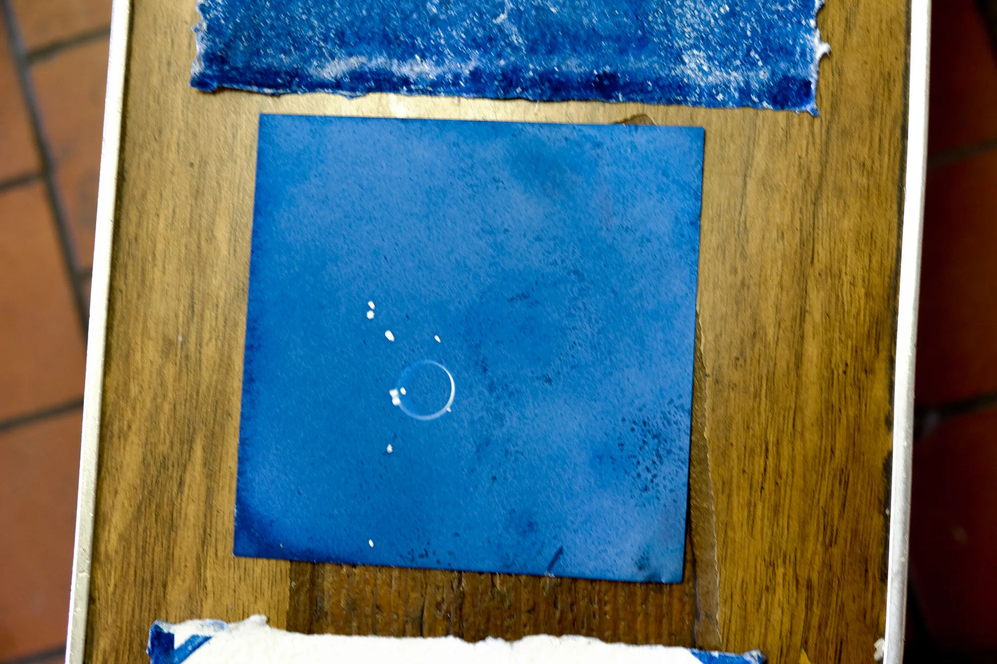 DSCF8933.jpg