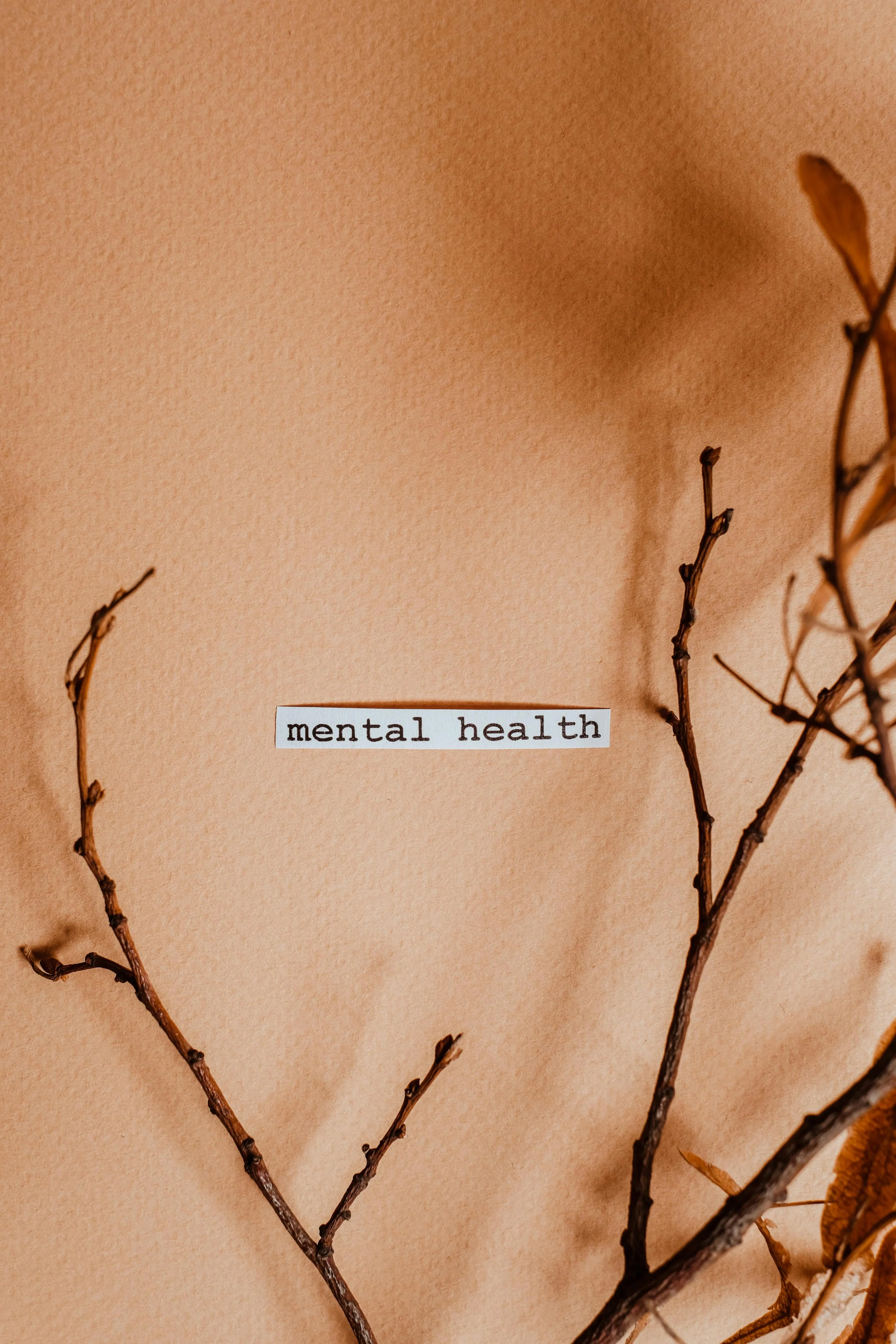 A small paper label reading "mental health" resting among bare branches against a warm beige background