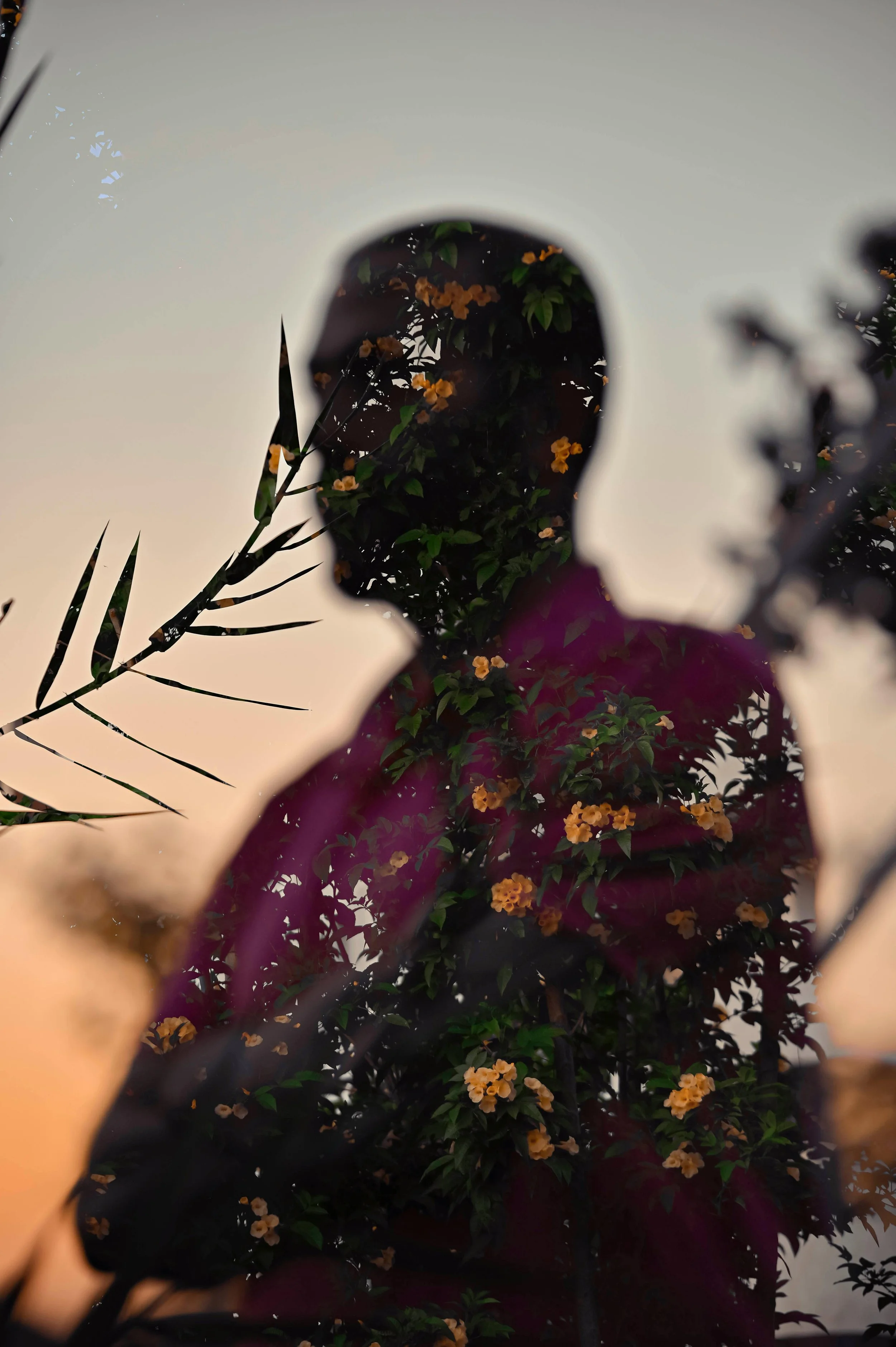 Double exposure silhouette of a person surrounded by flowers and greenery, representing healing and renewal after narcissistic abuse