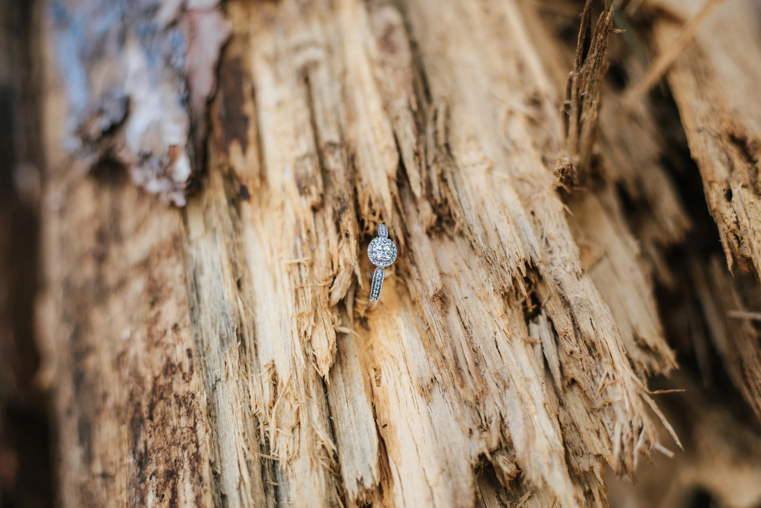 Holly.Todd.Engagement-55.jpg