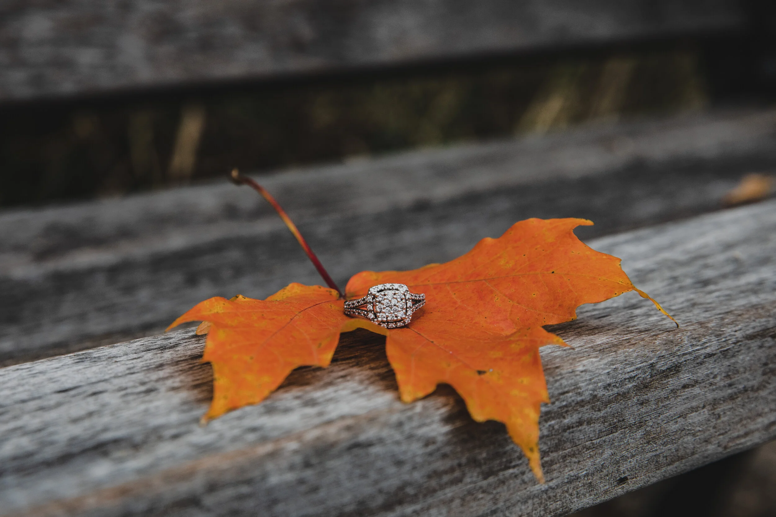 RZ-Engagement-128.jpg
