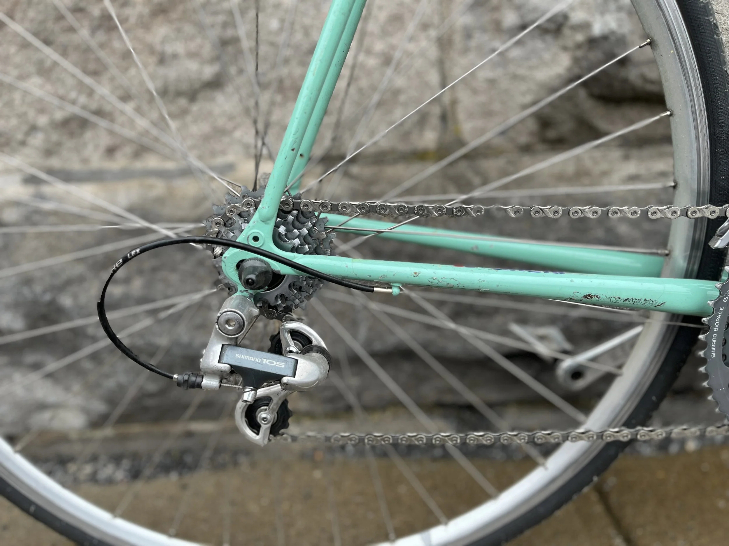2026_001_Bianchi_03.jpg
