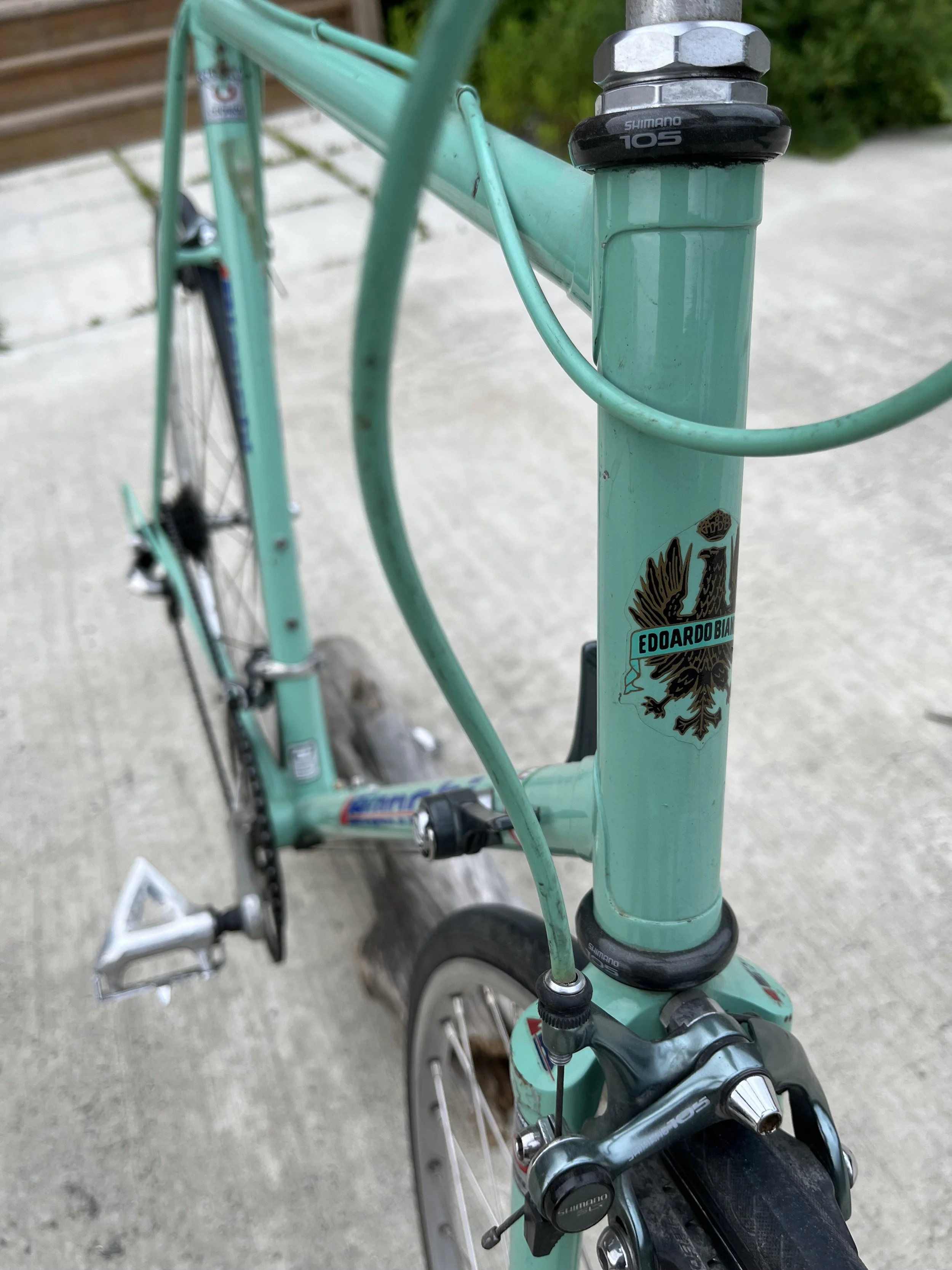 2026_001_Bianchi_05.jpg