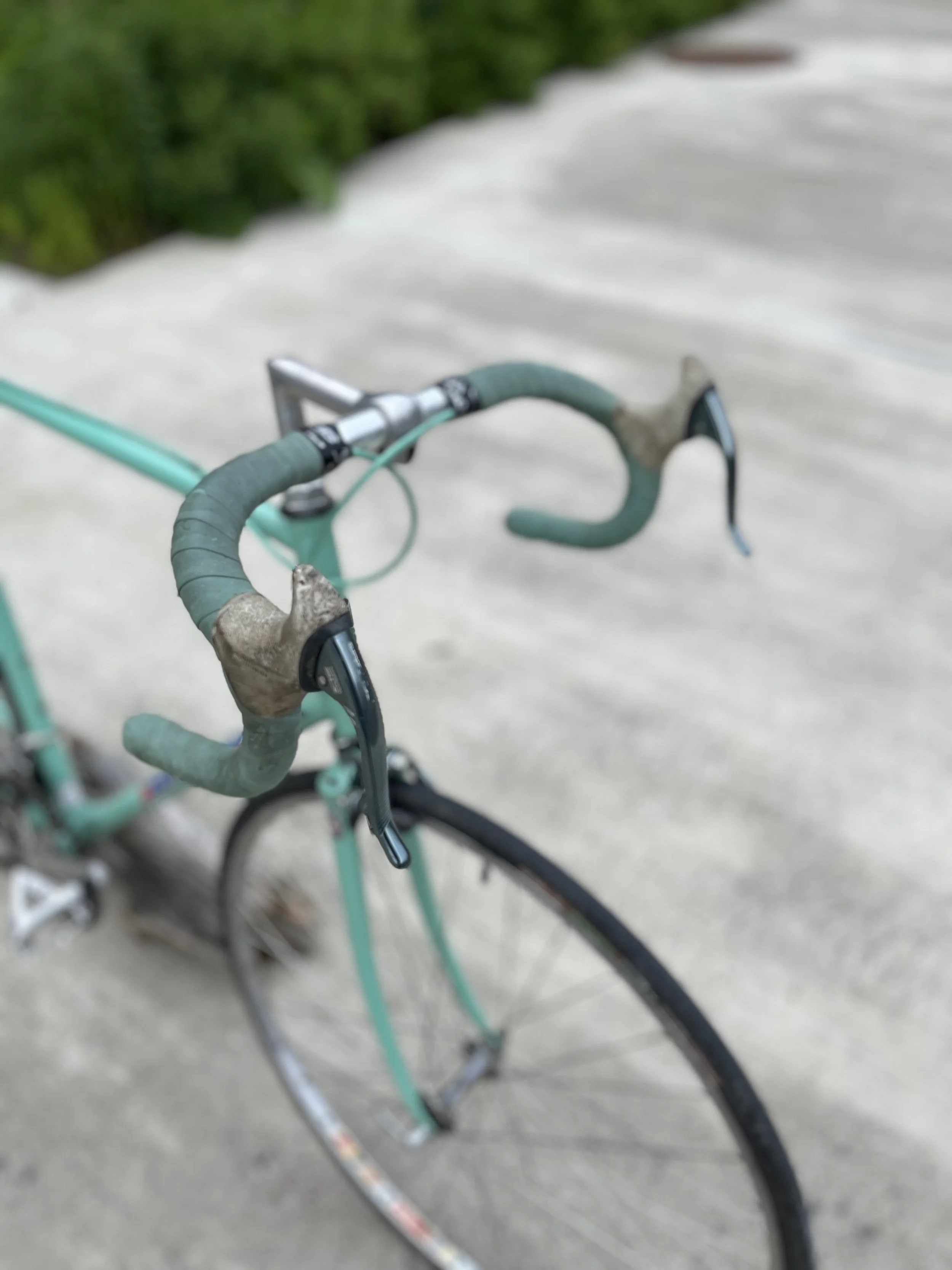 2026_001_Bianchi_06.jpg