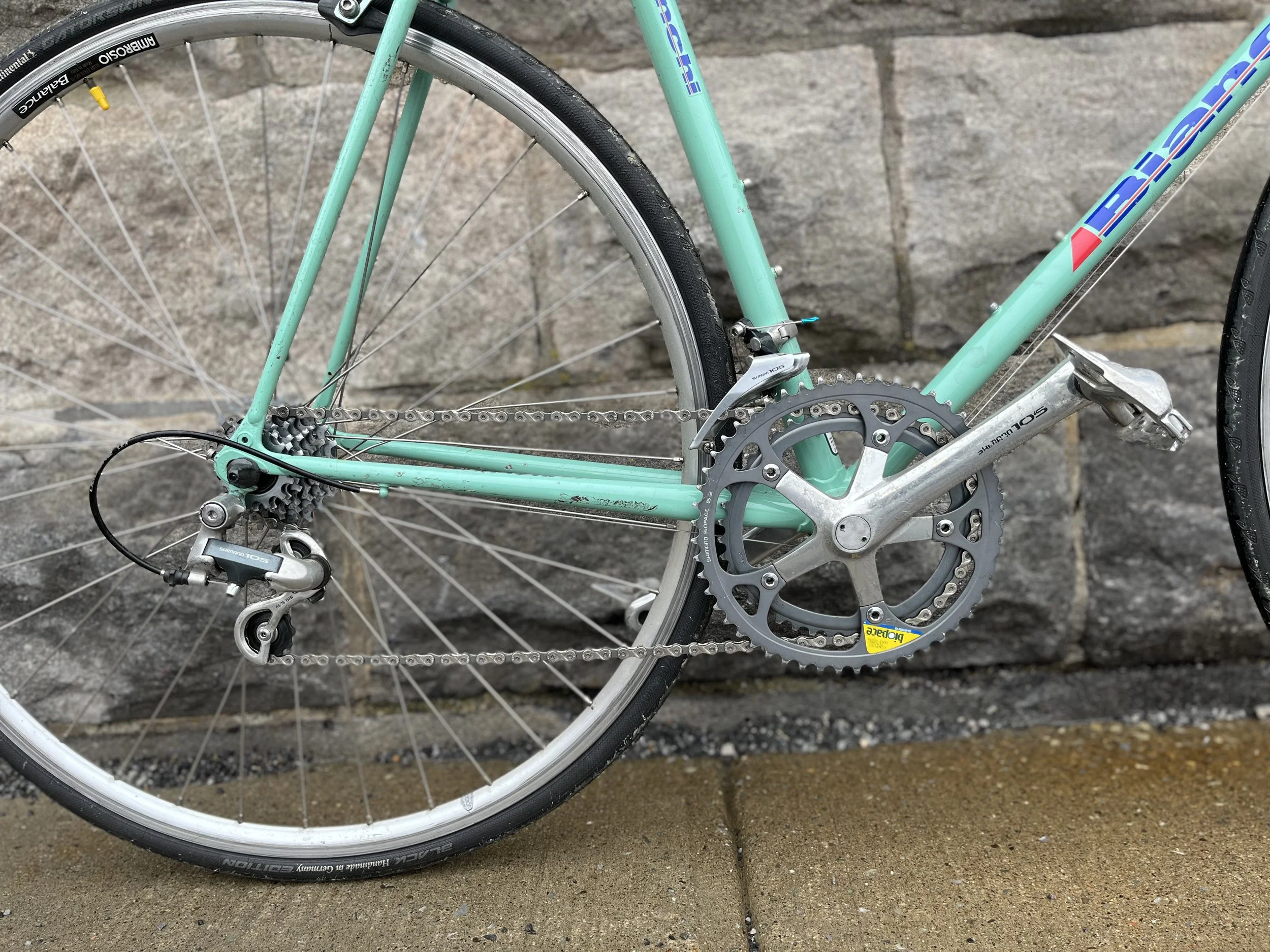 2026_001_Bianchi_05.jpg