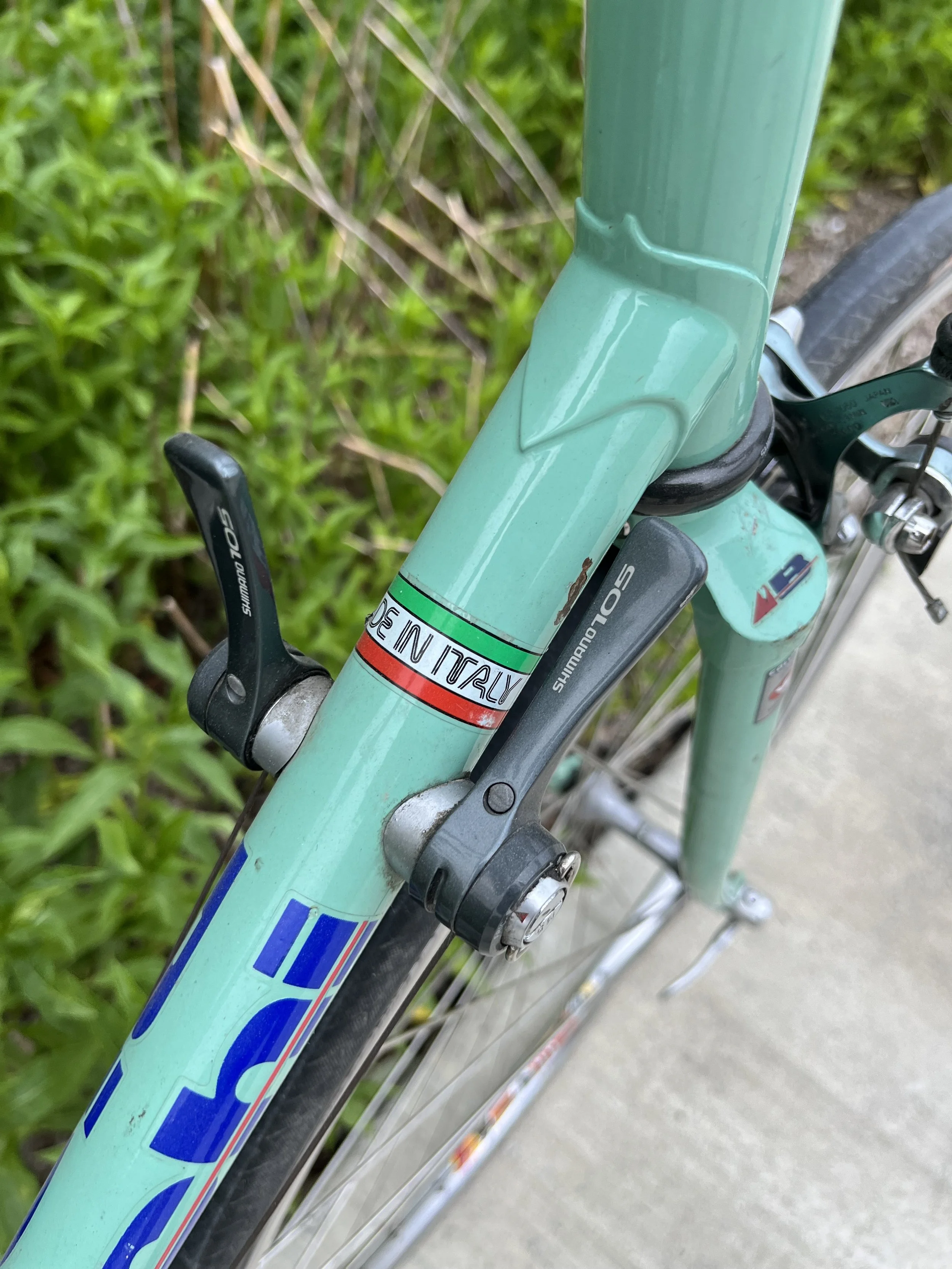 2026_001_Bianchi_07.jpg