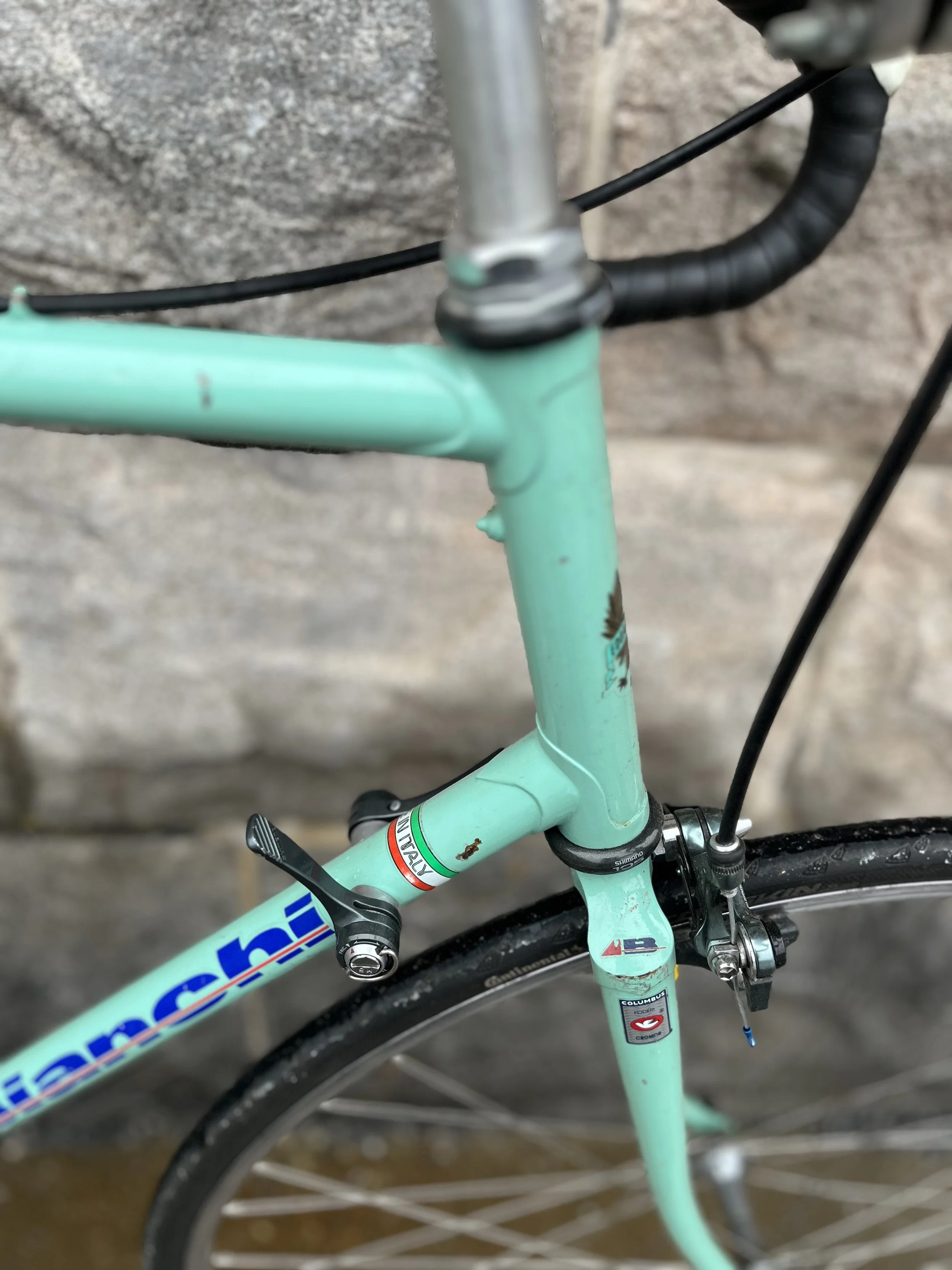 2026_001_Bianchi_07.jpg