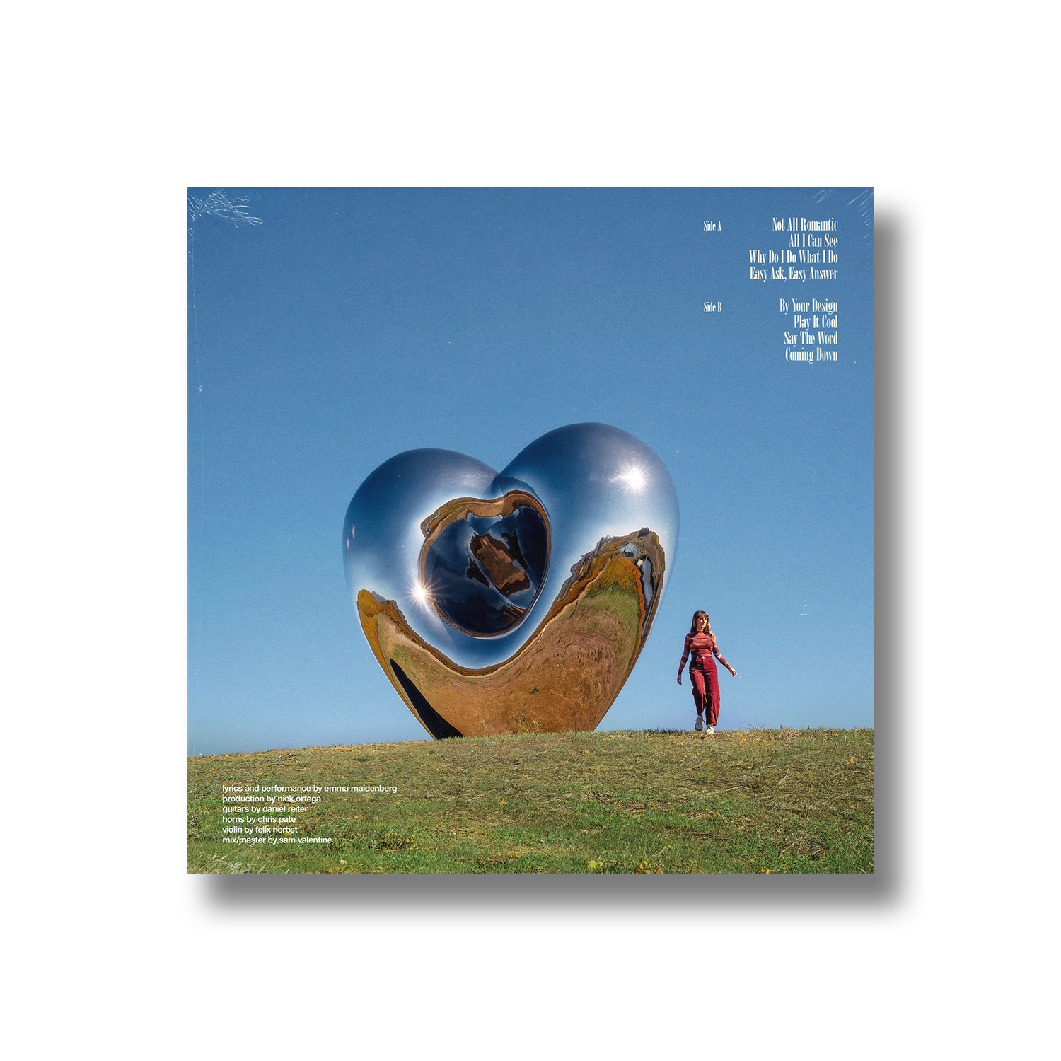 Vinyl Back.png