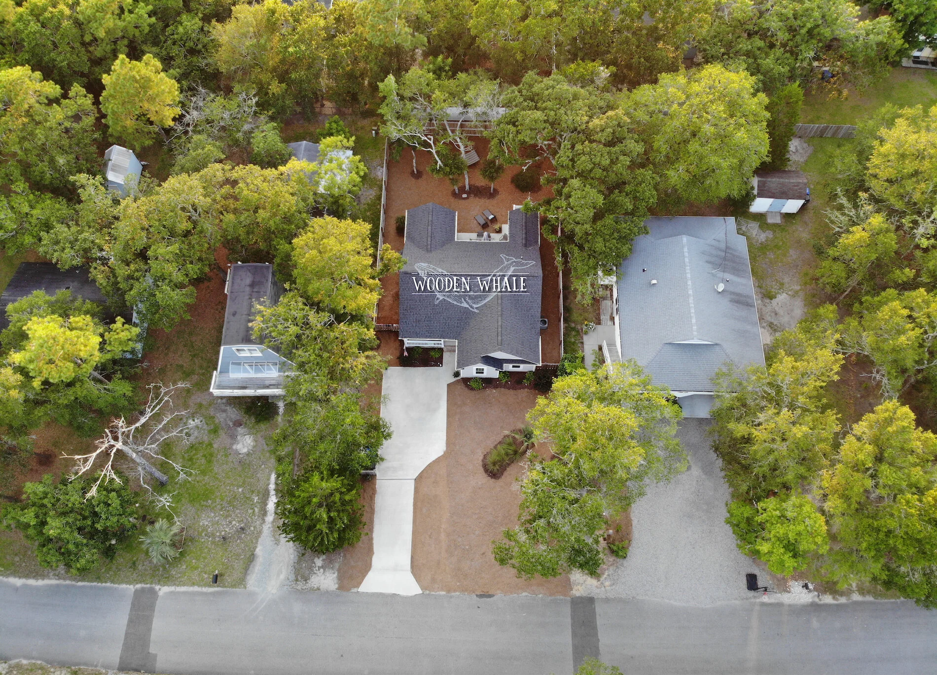 WW_Overhead_Logo-01 small.jpg