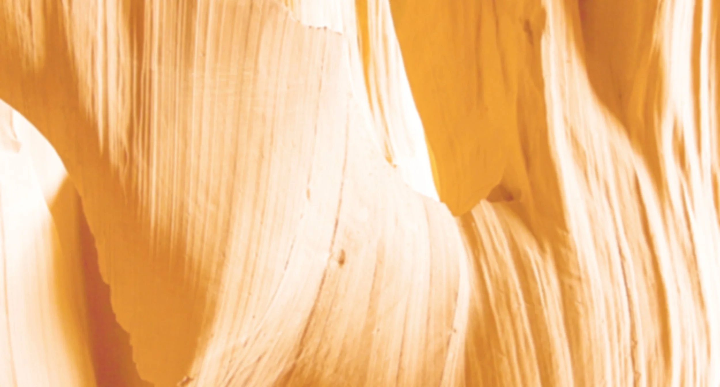 orange-hire-us-one_edit.jpg