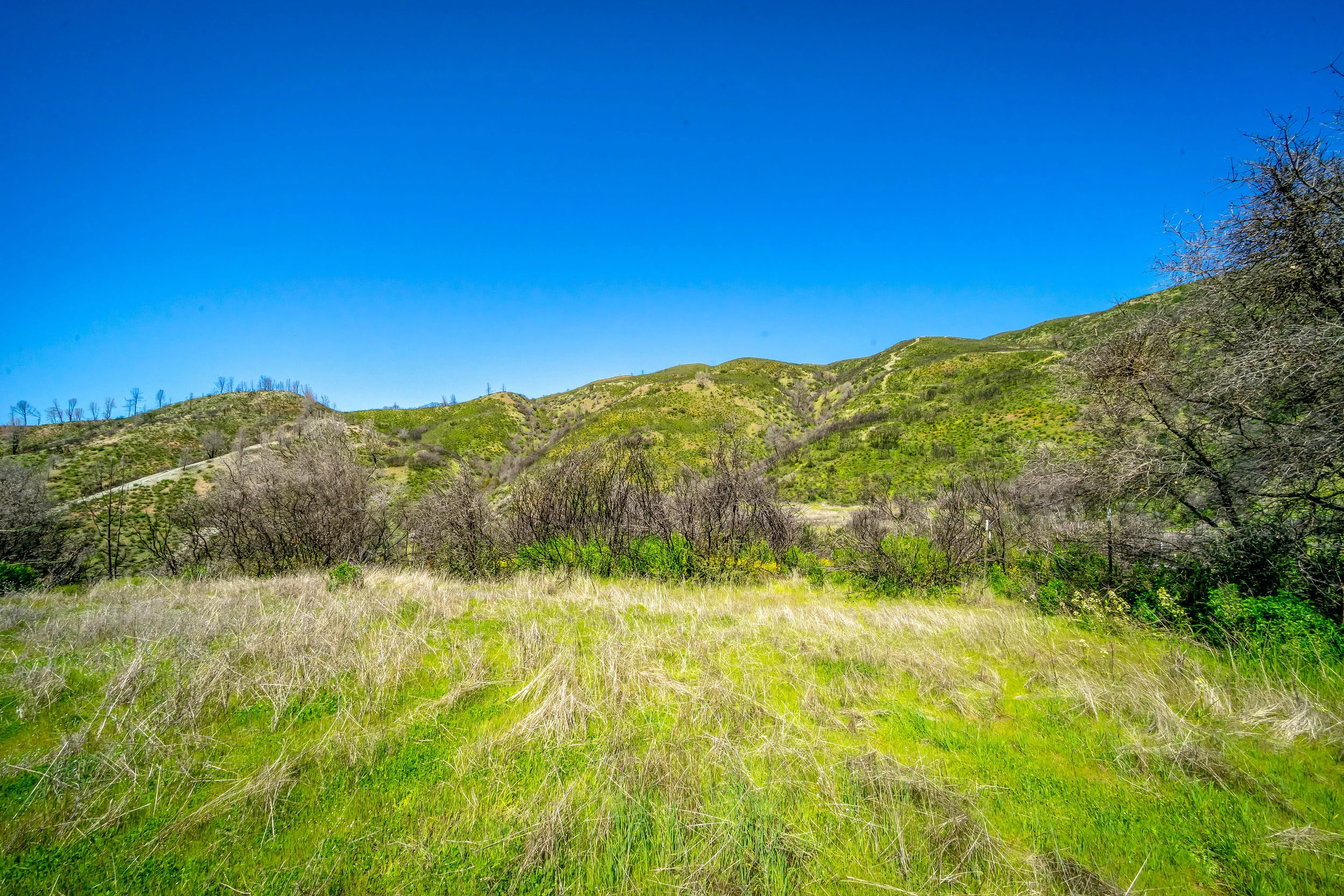 _DSC9747.jpg