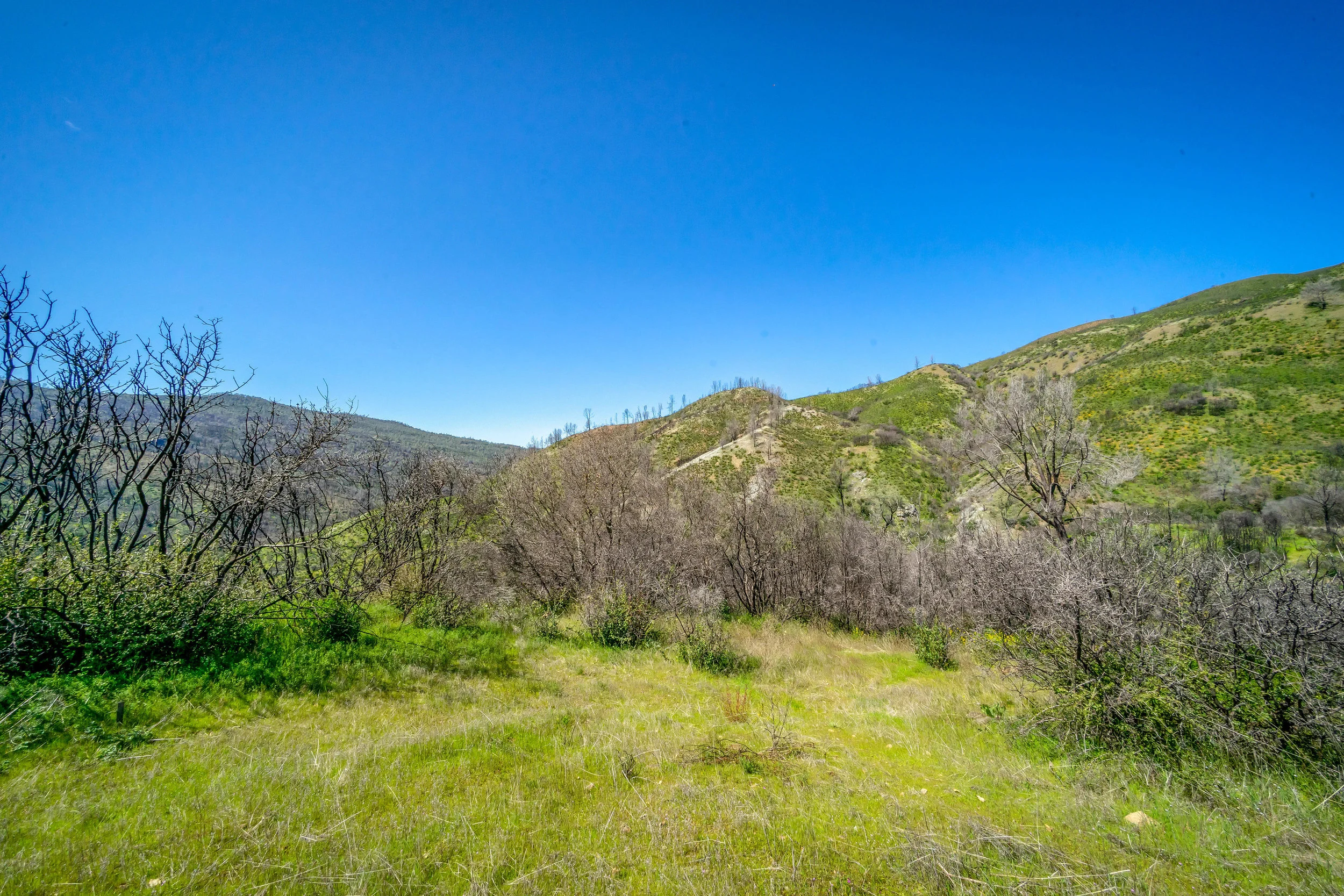 _DSC9750.jpg