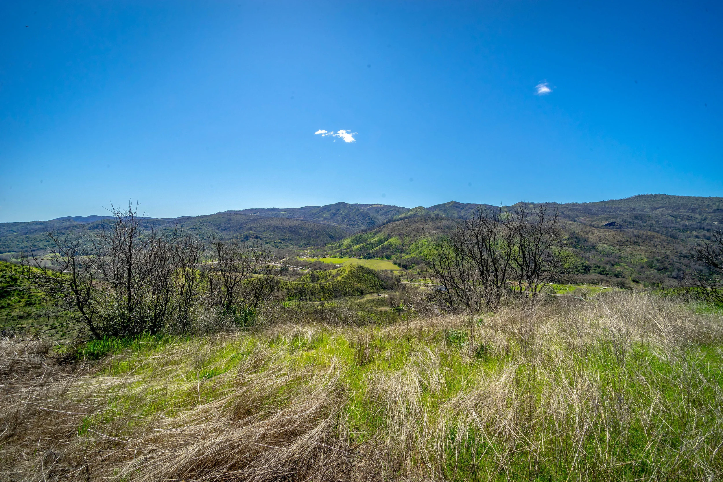 _DSC9758.jpg