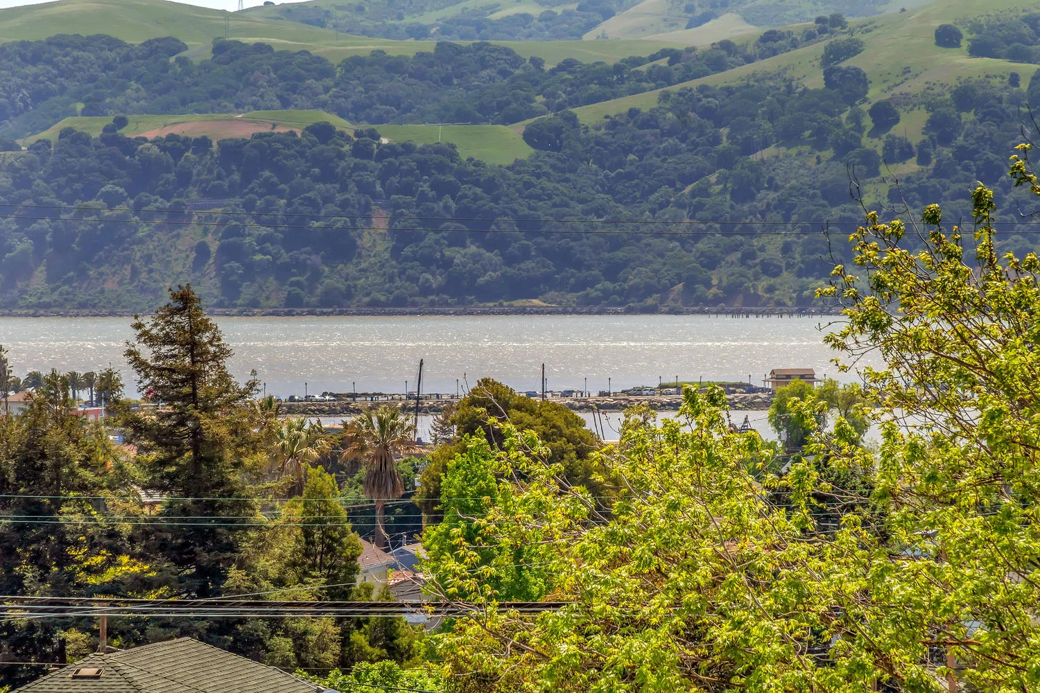 1351 W 3rd St Benicia CA 94510-large-087-26-1351 West 3rd 20-1500x1000-72dpi.jpg