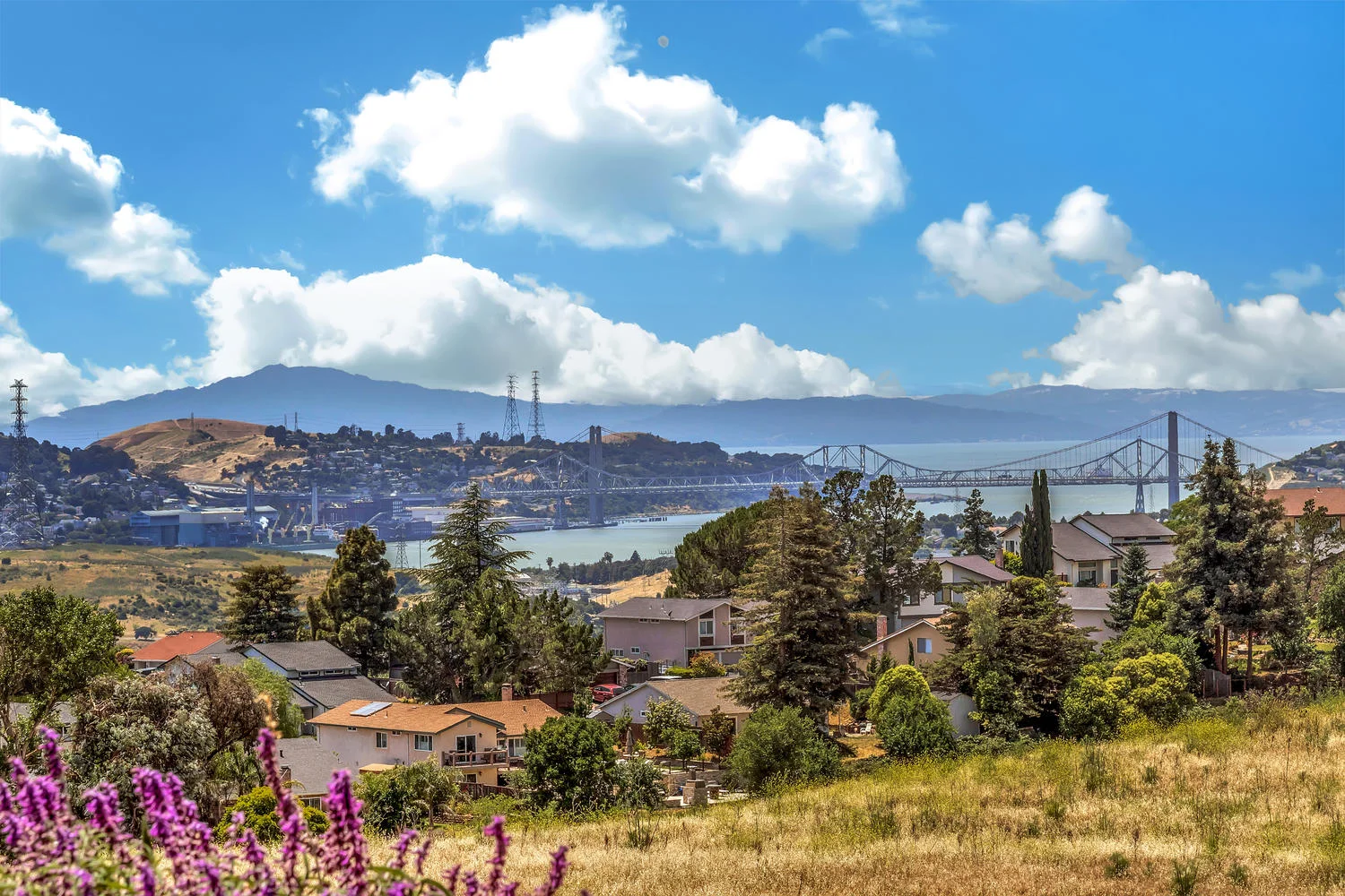 332 Weldon Ct Benicia CA 94510-large-064-029-332 Weldon Ct 36-1500x1000-72dpi.jpg
