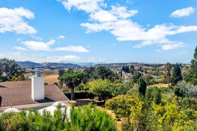 439 Mills Dr Benicia CA 94510-small-024-010-439 Mills Dr 6-666x444-72dpi.jpg