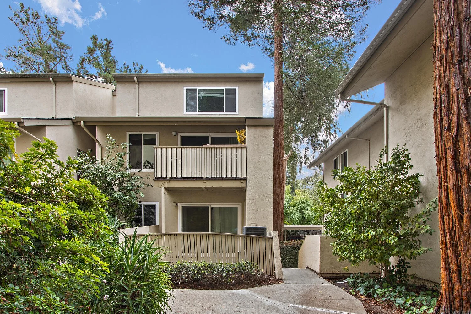 2704 Oak Rd Walnut Creek CA-large-029-009-Oak 77 26-1500x1000-72dpi.jpg