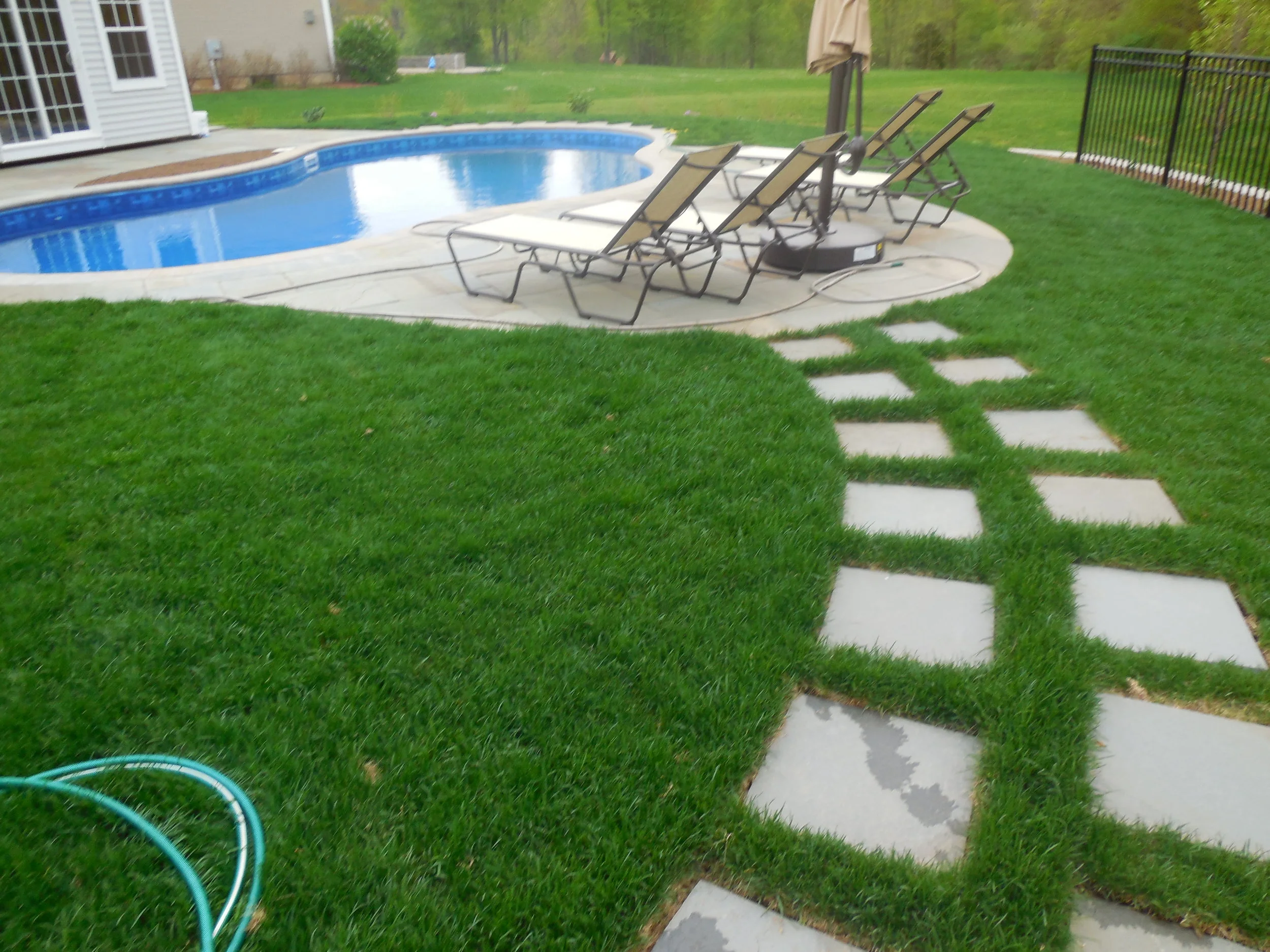 DSCN0198.JPG