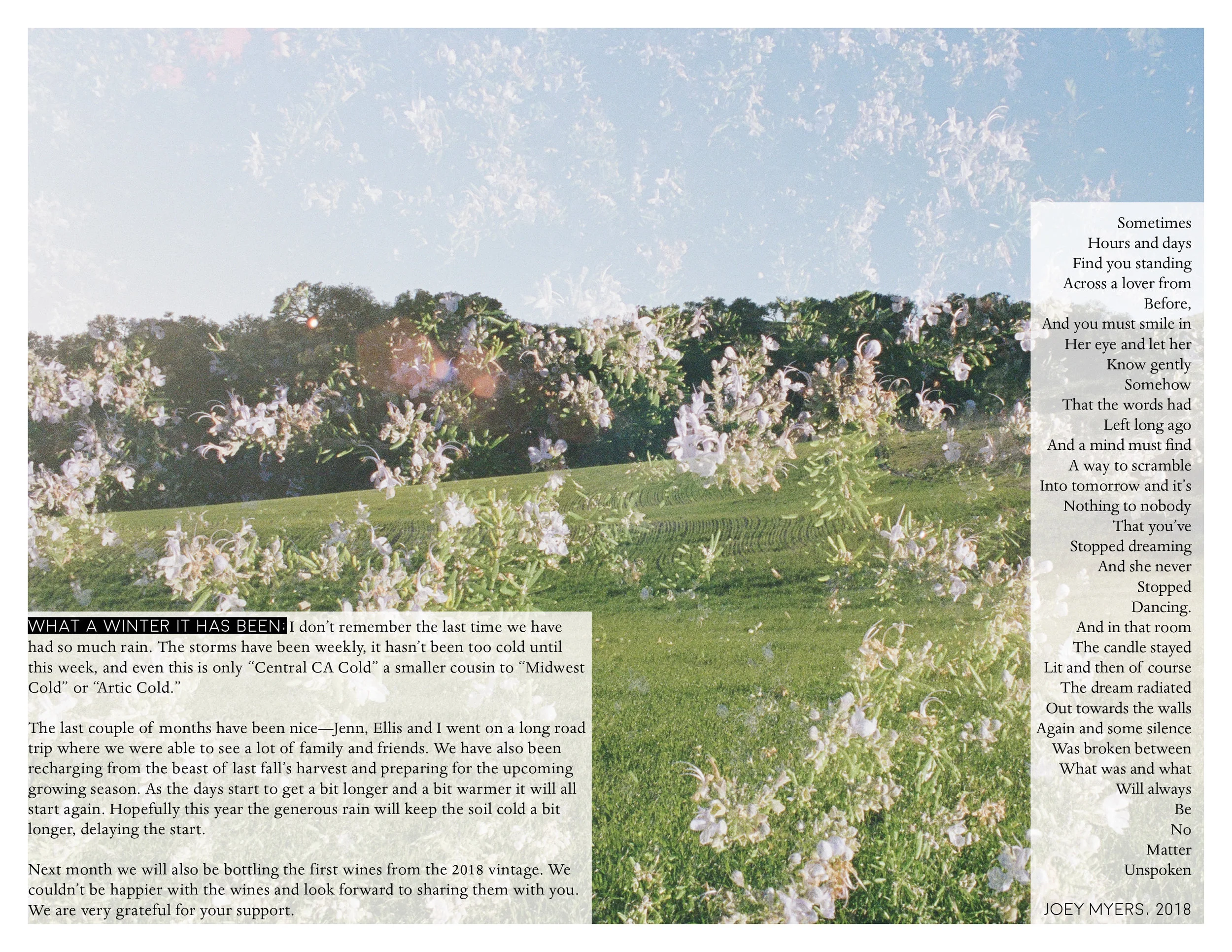 Spring 2019 'zine