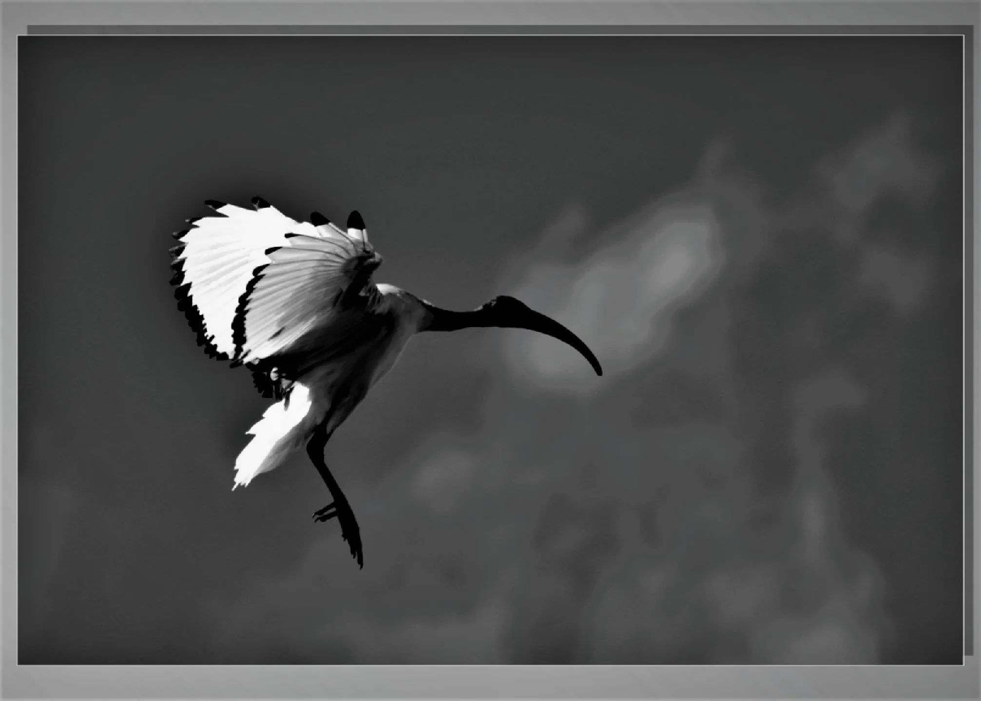 dr-call-photography-87.jpg