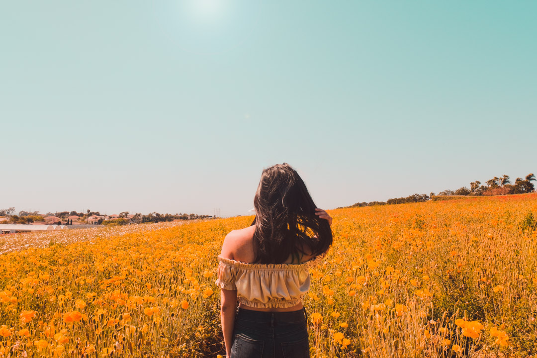 carlsbad-3.jpg