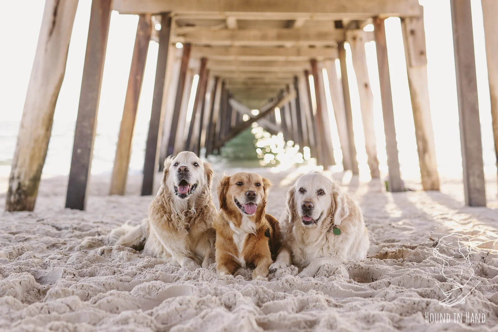 Darcy, Emilie and Poppy with Lea, Paul and Mac.