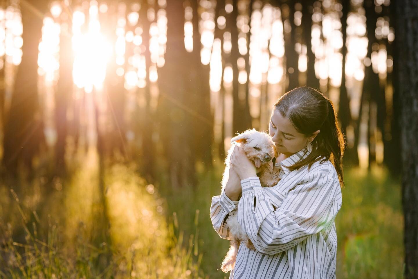 Introducing End of Life Photo Sessions. ⁠
⁠
The loss of a pet is one of the most heart-breaking, earth- shattering pains out there. When the pang of grief hits, photos can help to remind us of the incredible love and bond that was shared. Creating ph