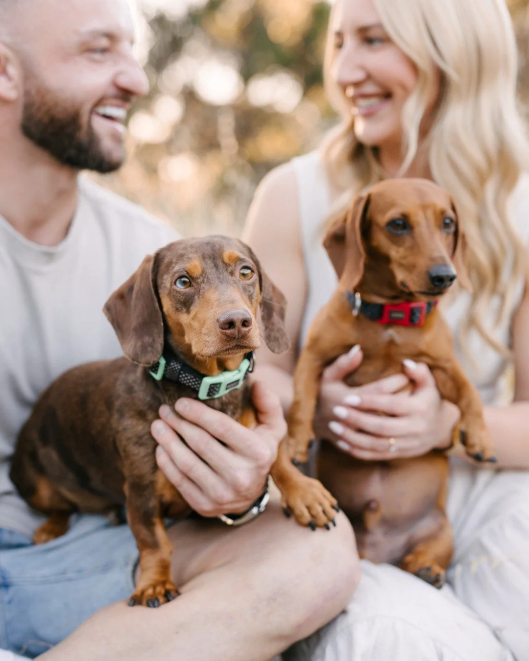 🌭 Stanley + Samuel 🌭

 #petphotography #houndinhand #PetPortraits #minidaschund